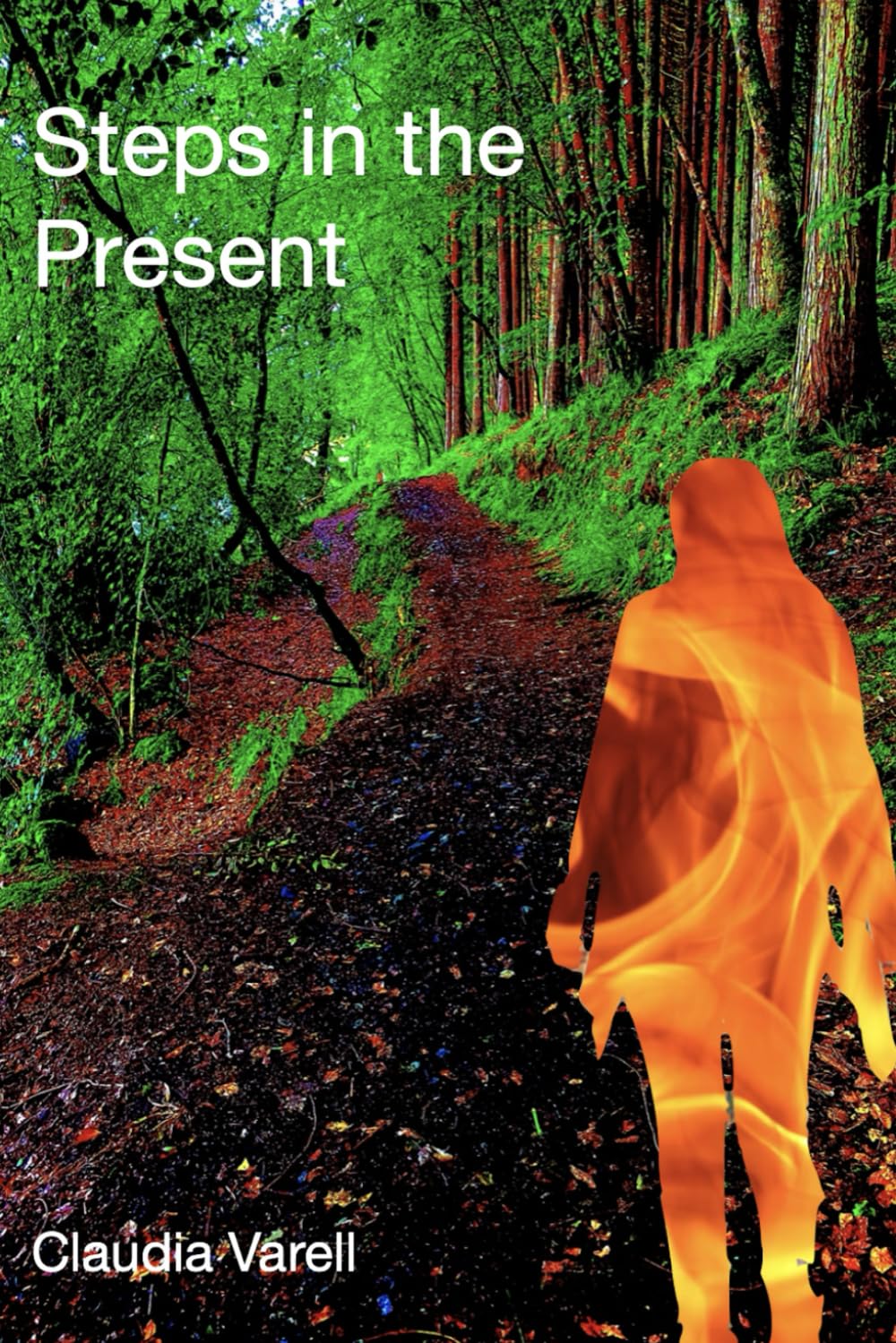 Steps in the Present: 2 (Shadows of the Past)