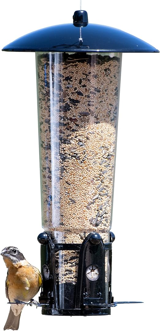 PerkyPet 3331SR SquirrelBeGone Max Large Wild Bird