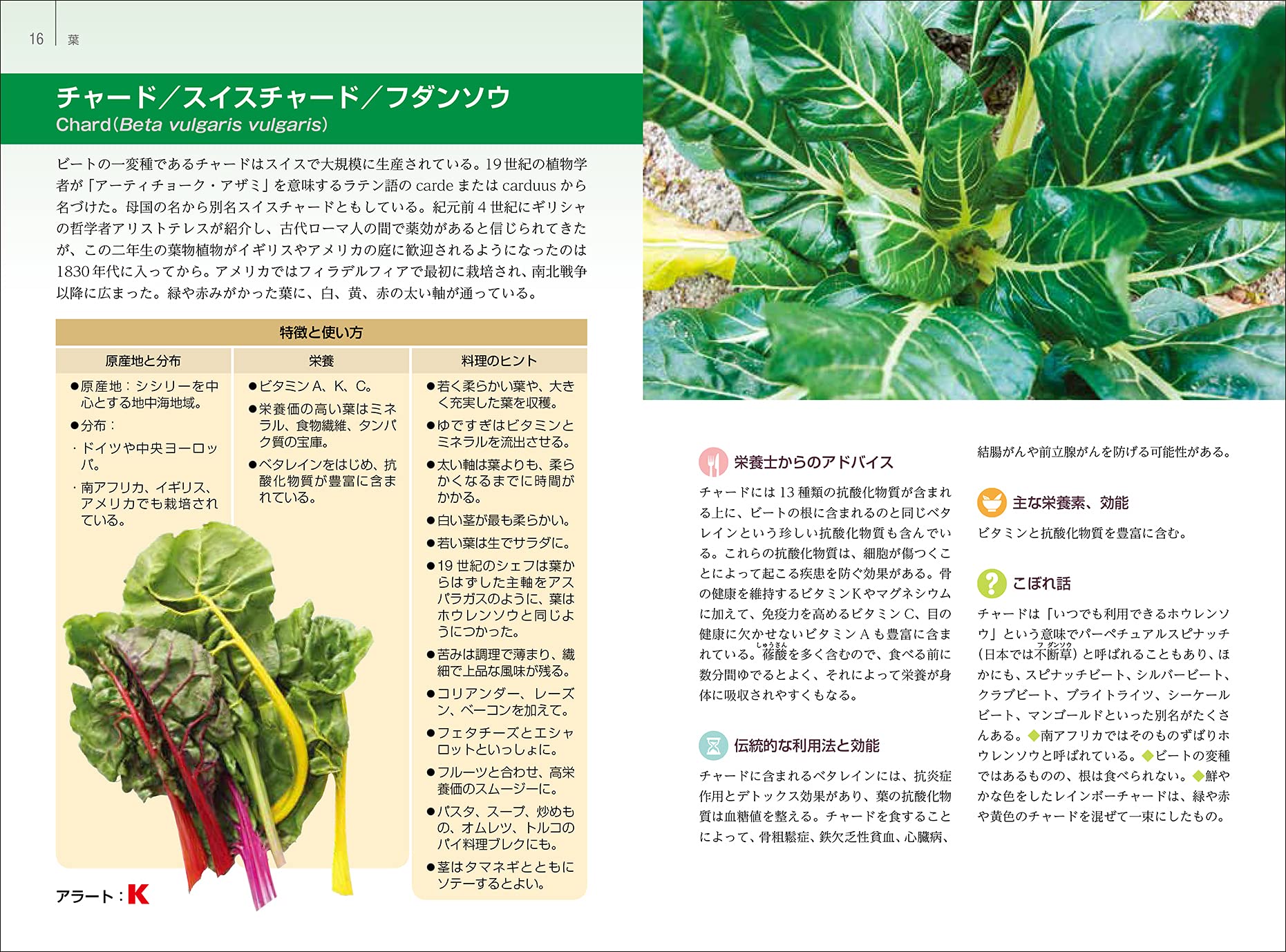 カラー図鑑 野菜の秘密 利用法 効能 歴史 伝承 ジル デイヴィーズ ダリア マオリ 板倉弘重 板倉弘重 杉田七重 本 通販 Amazon