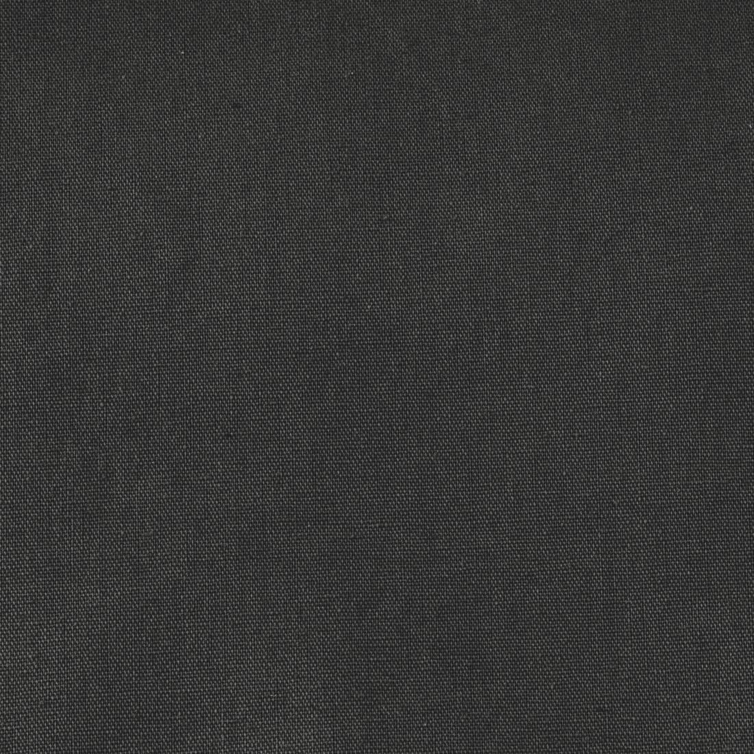 Hama Toile de Fond pour Photographie - 2,95 x 6 m - 100% Coton - Écran Noir - pour Photographie, vidéo et télévision