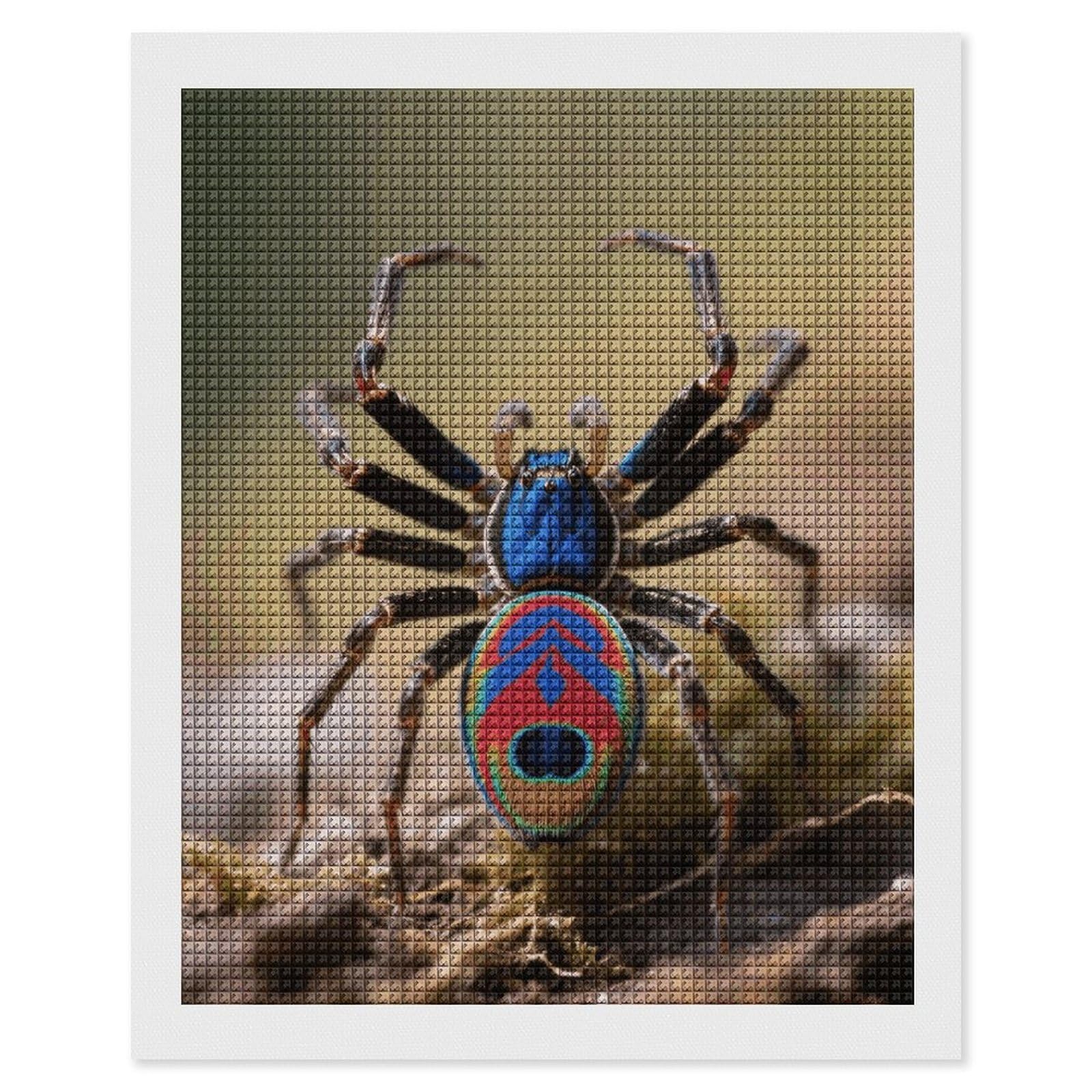 FodPand Peacock Spider 5D Diamond Painting Kits for Adults Beginners Full Drill Square Diamond Dots Pictures Gem Art Supplies for Home Wall Room Decoration DIY Craft Set Gift 16x20