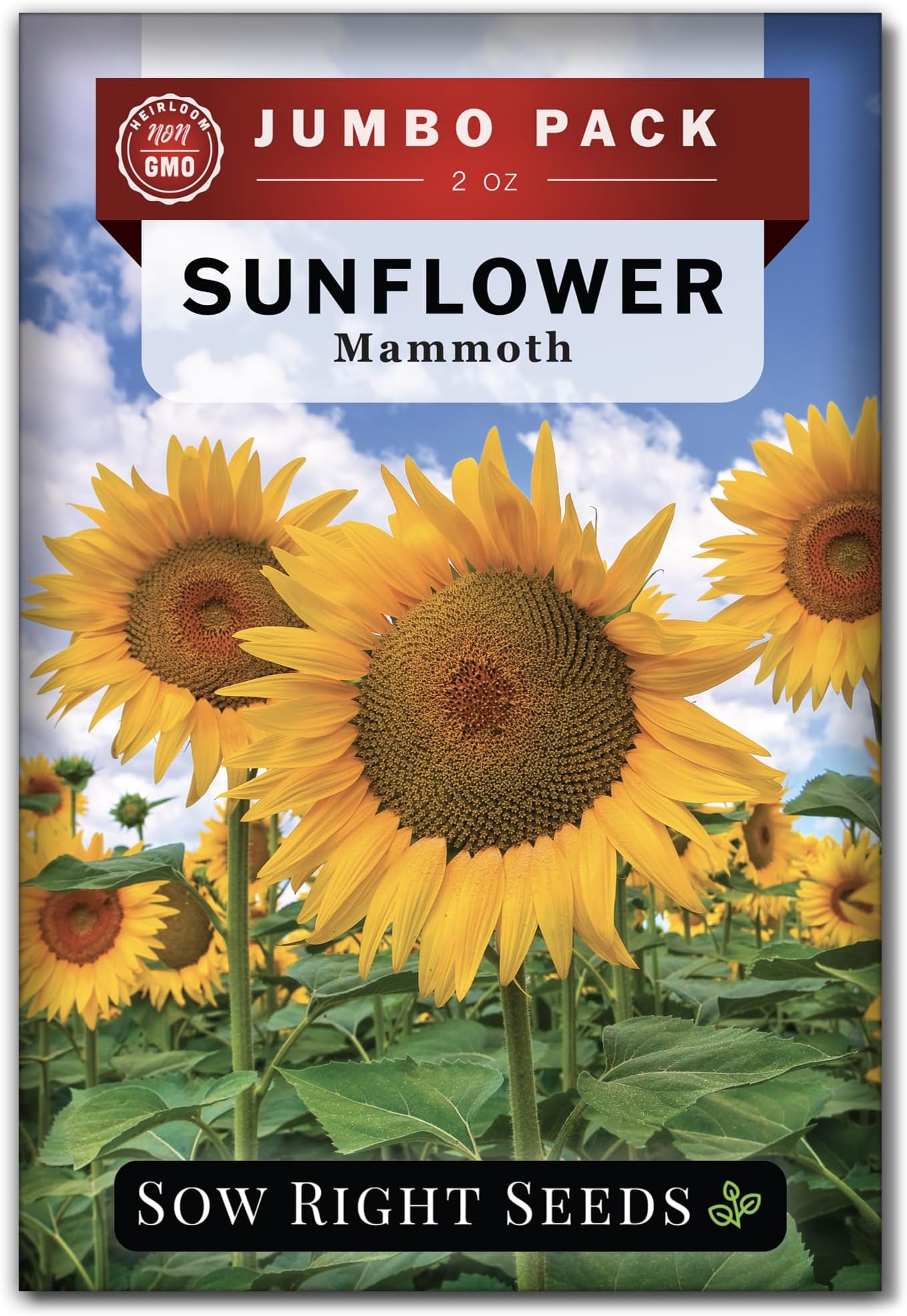 Sow Right Seeds Mammoth Sunflower Seeds to Plant 740