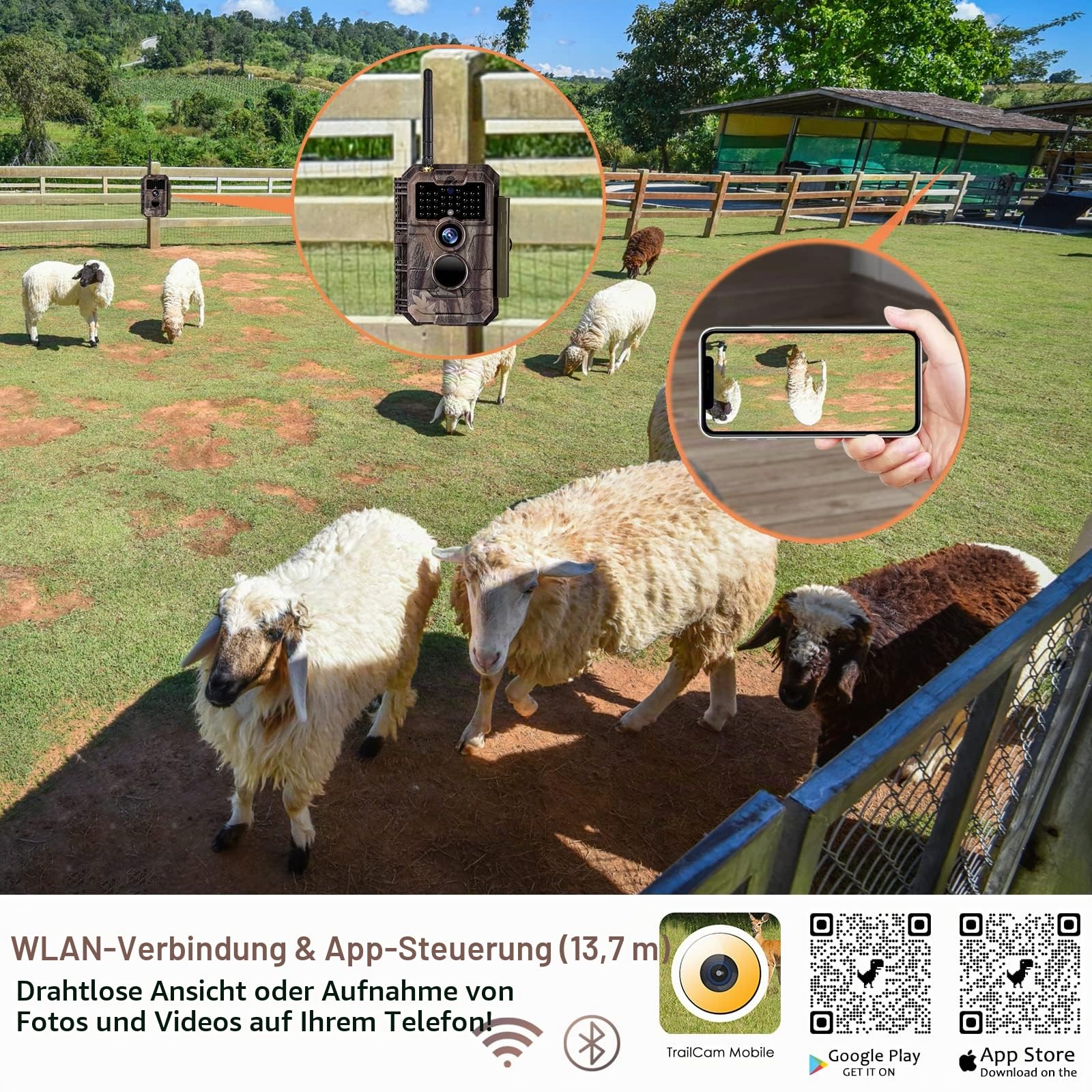 BlazeVideo Wildkamera WLAN Fotofalle WiFi Beutekamera Wildtier Jagdkamera Überwachungskamera 64MP HD MP4/MOV Video mit unsichtbare Nachtsicht Bewegungsmelder IP66 Wasserdicht