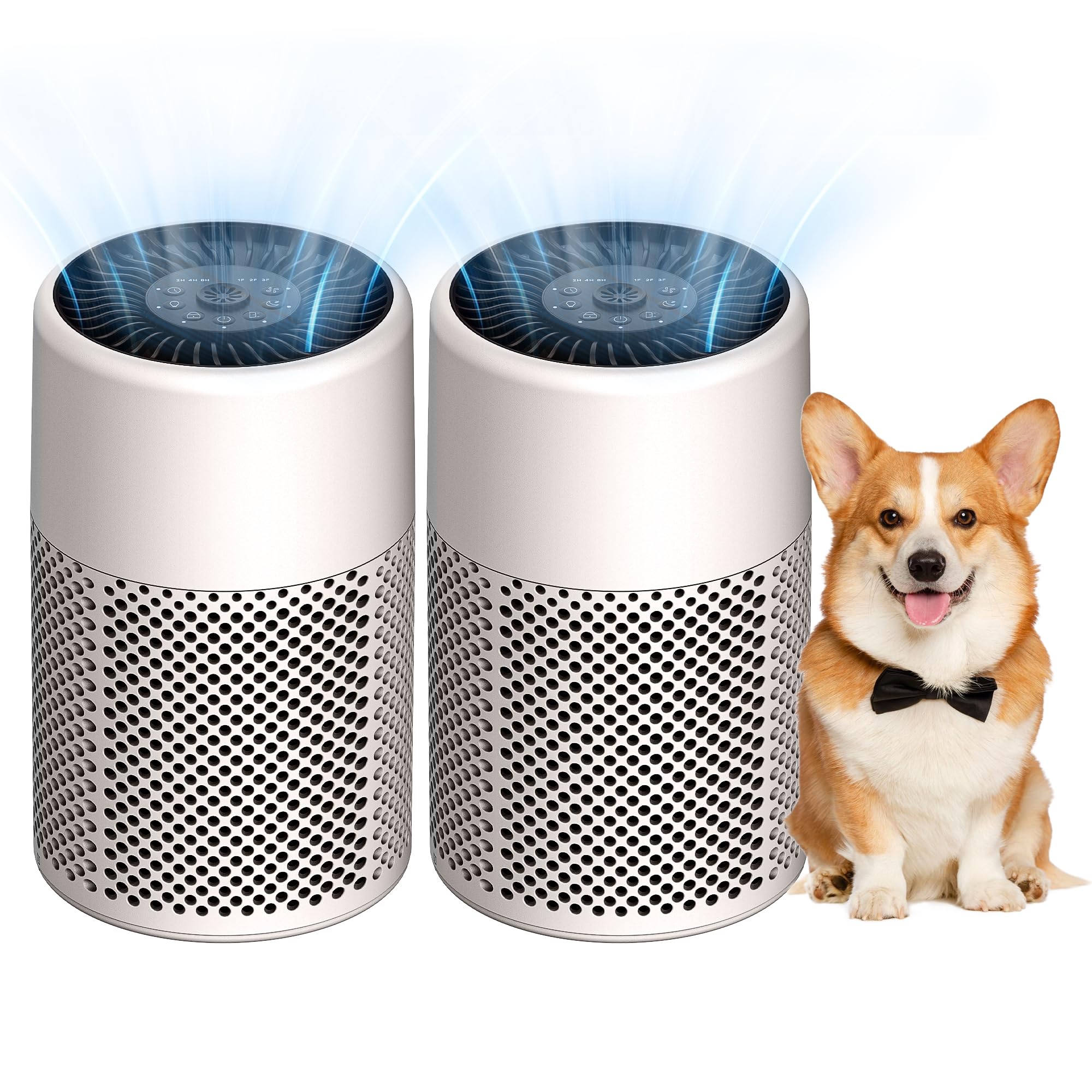 CHIVALZ Confezione Da 2 Purificatori D'Aria per Camera Da Letto e Casa, Vero Filtro HEPA Contro Polvere, Fumo, Peli Di Animali Domestici, Piccolo Purificatore D'Aria Con Modalità Sleep