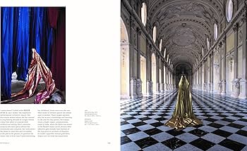 MirrorMirror: The Reflective Surface in Contemporary Art: Petry