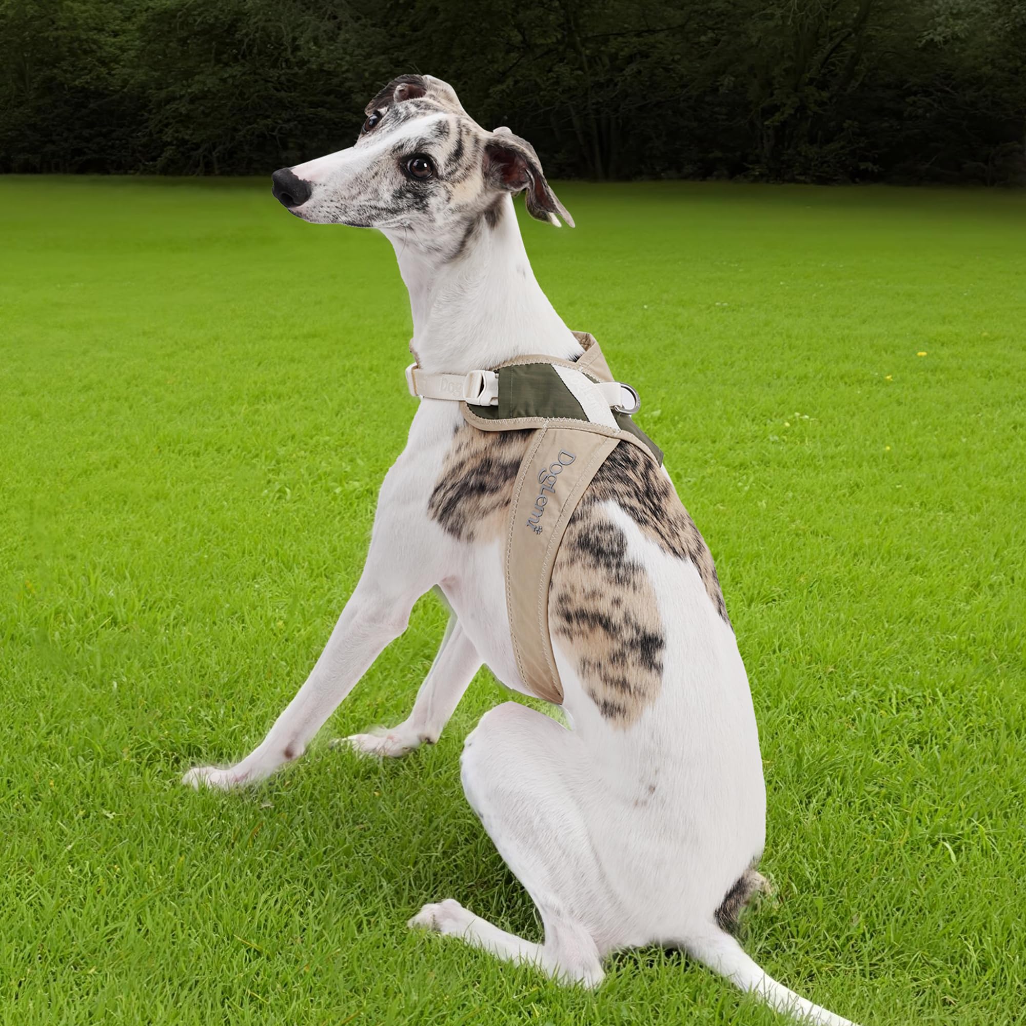 X-Back Kein-Ziehen-Hundegeschirr-Weste - Verstellbares, ausbruchsicheres Haustiergeschirr mit Rücken-Leinenclip für kleine, mittlere und große Hunde zum Spazierengehen (Beige Lila, M)