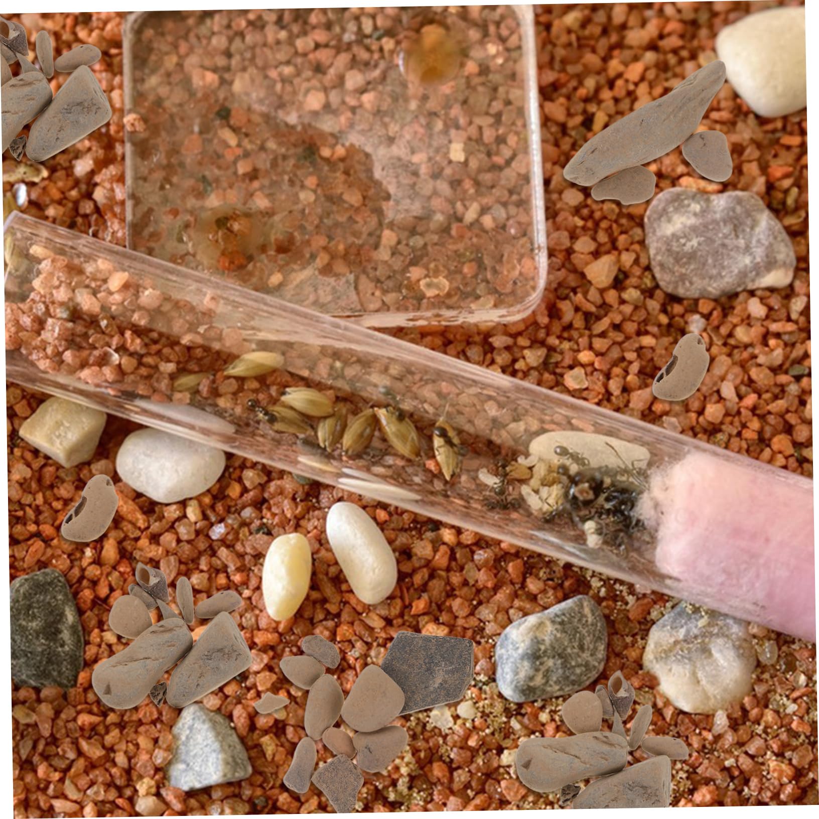 1bolsa Decoración De Acuario Piedras Naturales Para Peceras De Grava Decorativa Para Jardines y Fuentes Para Paisajismo y Diseño Acuático
