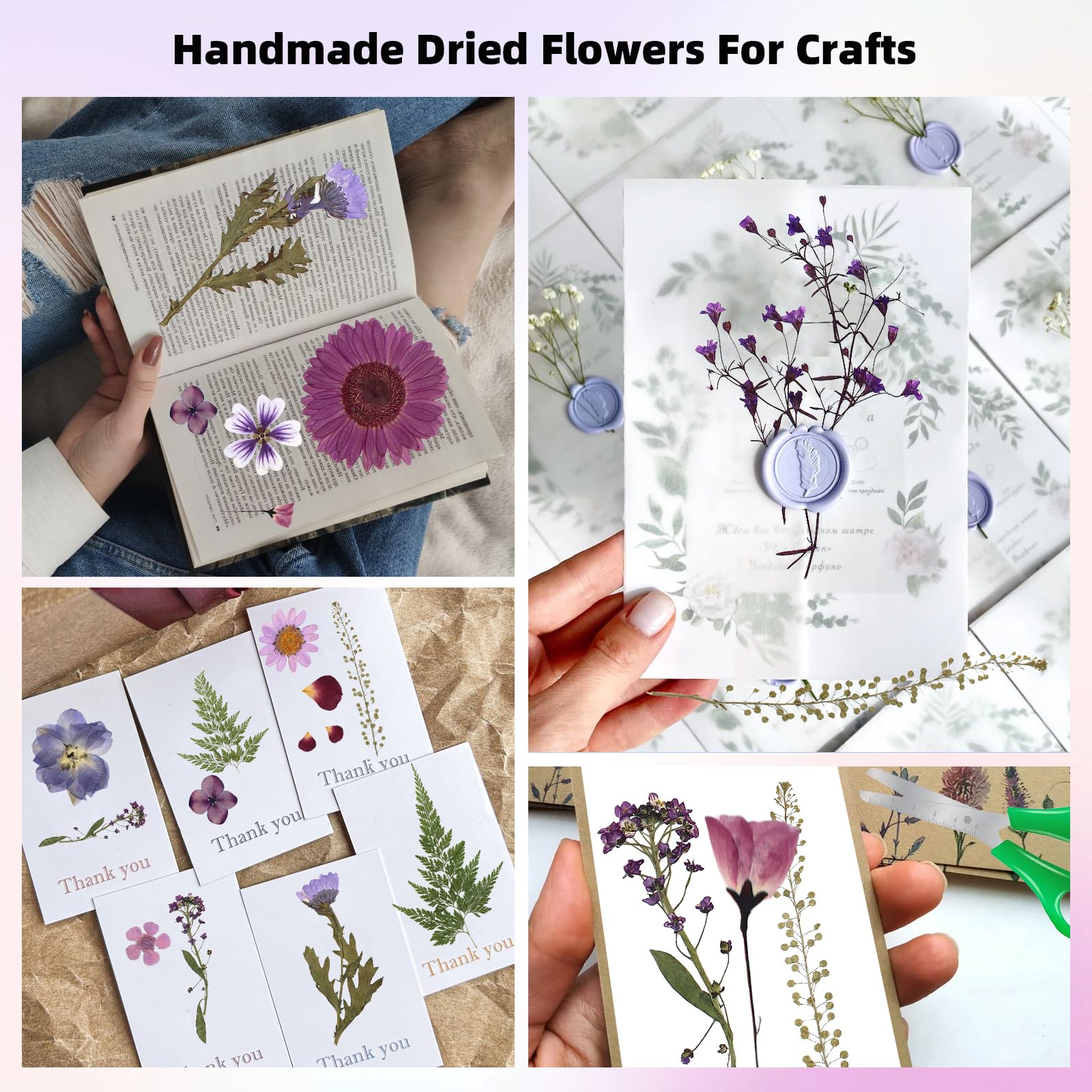ZMRU Grandes fleurs séchées pressées en vrac de 30,5 cm pour cadre en verre, véritables feuilles de fleurs naturelles séchées pour moule en résine, décoration de gâteau, décorations de vacances, étuis