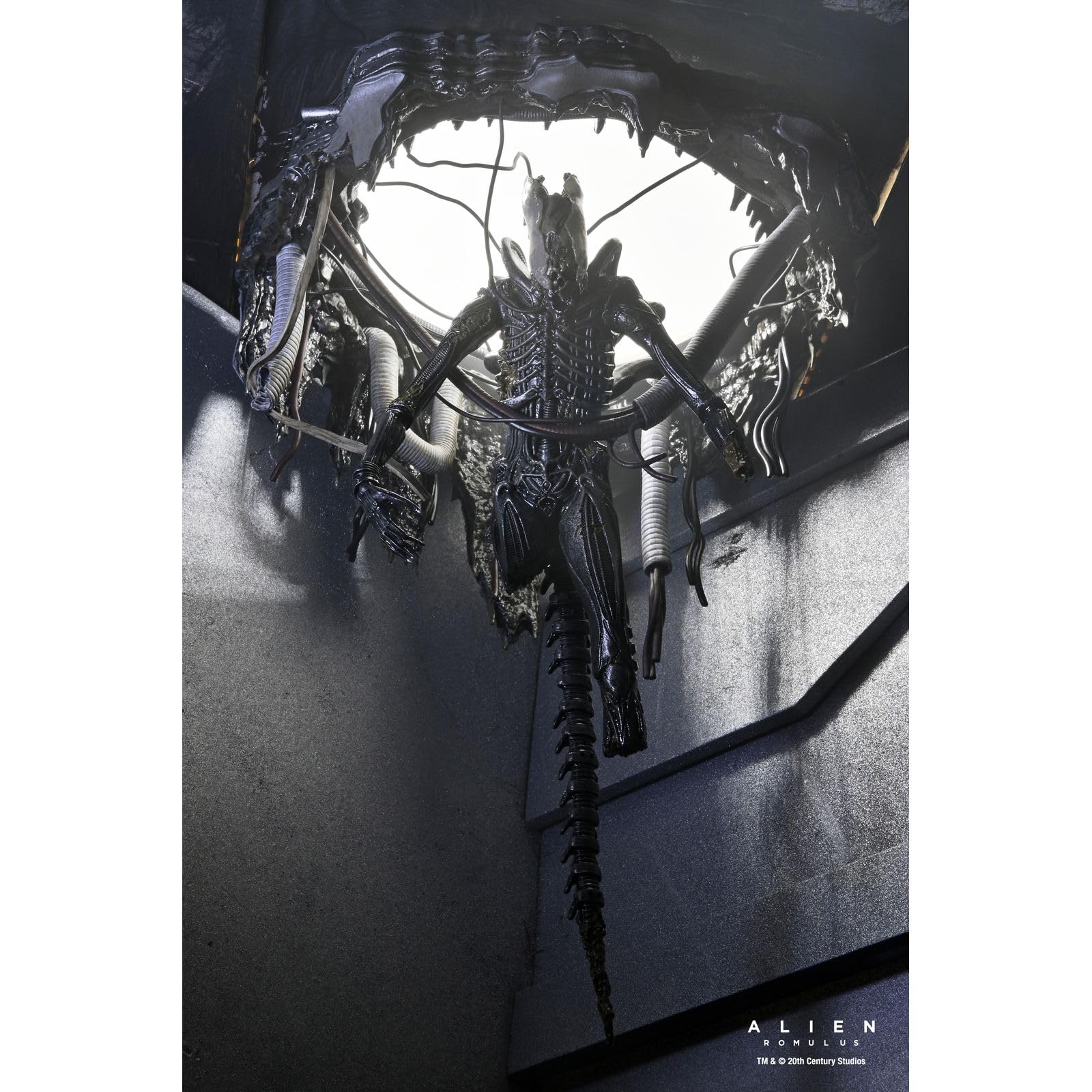 Amazon.com: Alien: Romulus - Deluxe Suspended Lab Xenomorph XX121