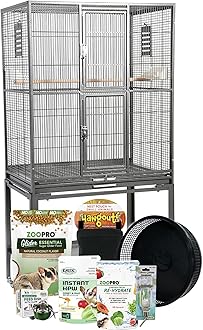 Amazon.com: Exotic Nutrition: Sugar Glider