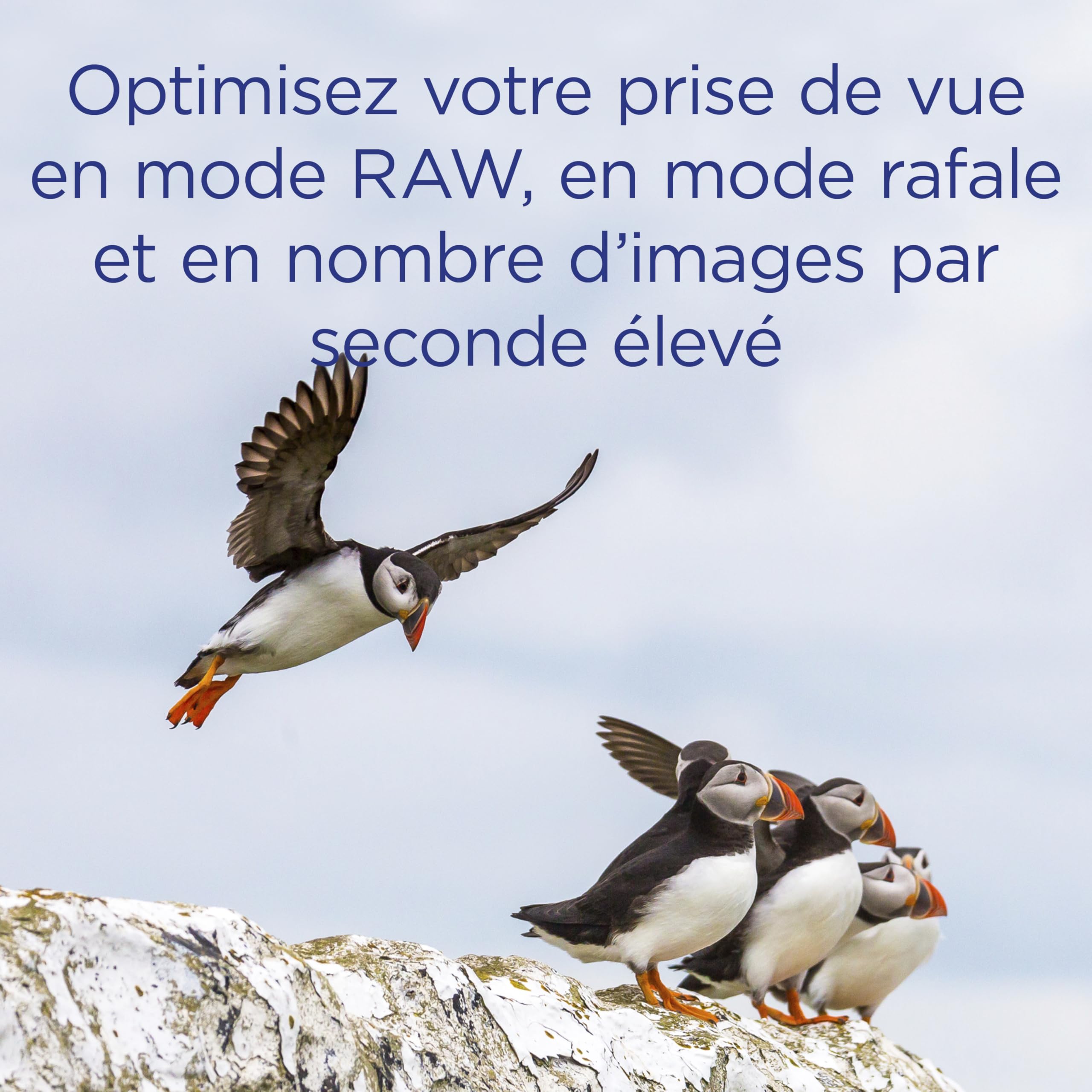 Integral Carte Compact Flash 32GB UDMA-7 866x Vitesse VPG-20 | Lecture à 130 MB/s et écriture à 45 MB/s | Carte Professionnelle à Haute Vitesse