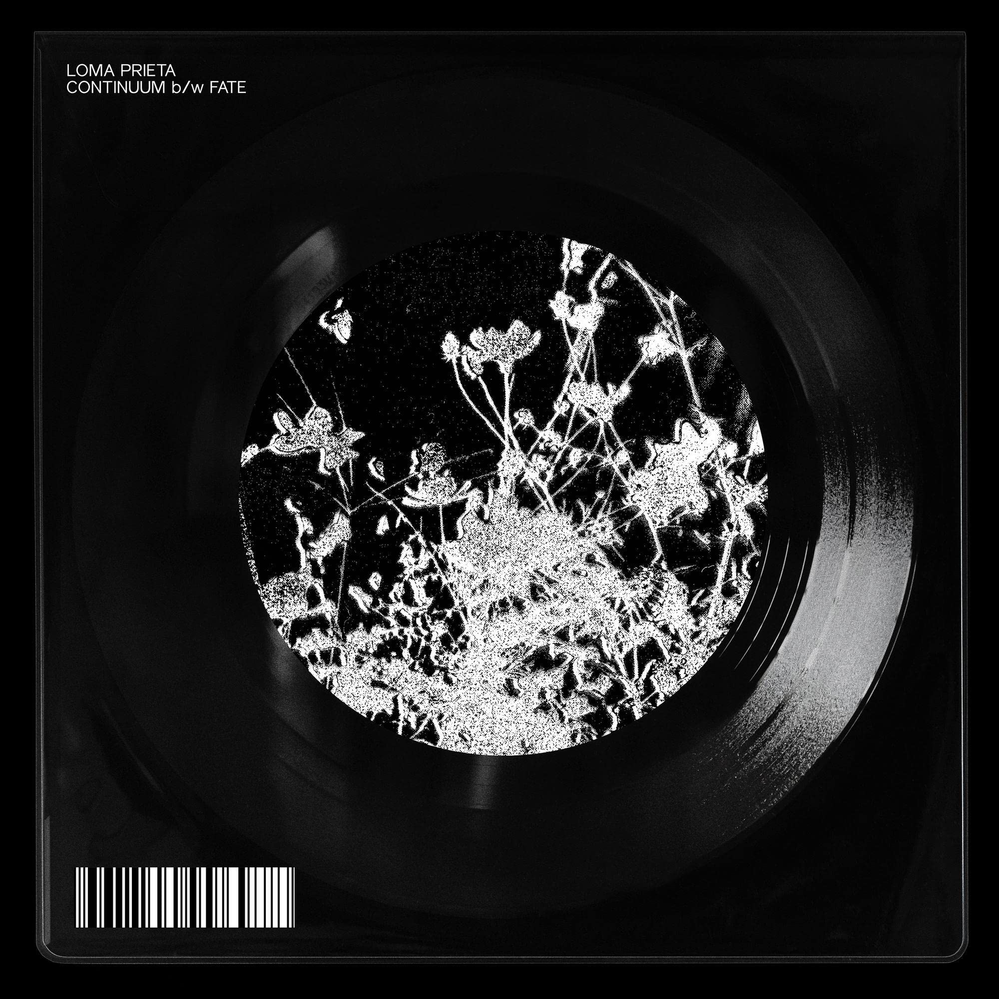 Continuum b/w Fate (7") [7" VINYL]