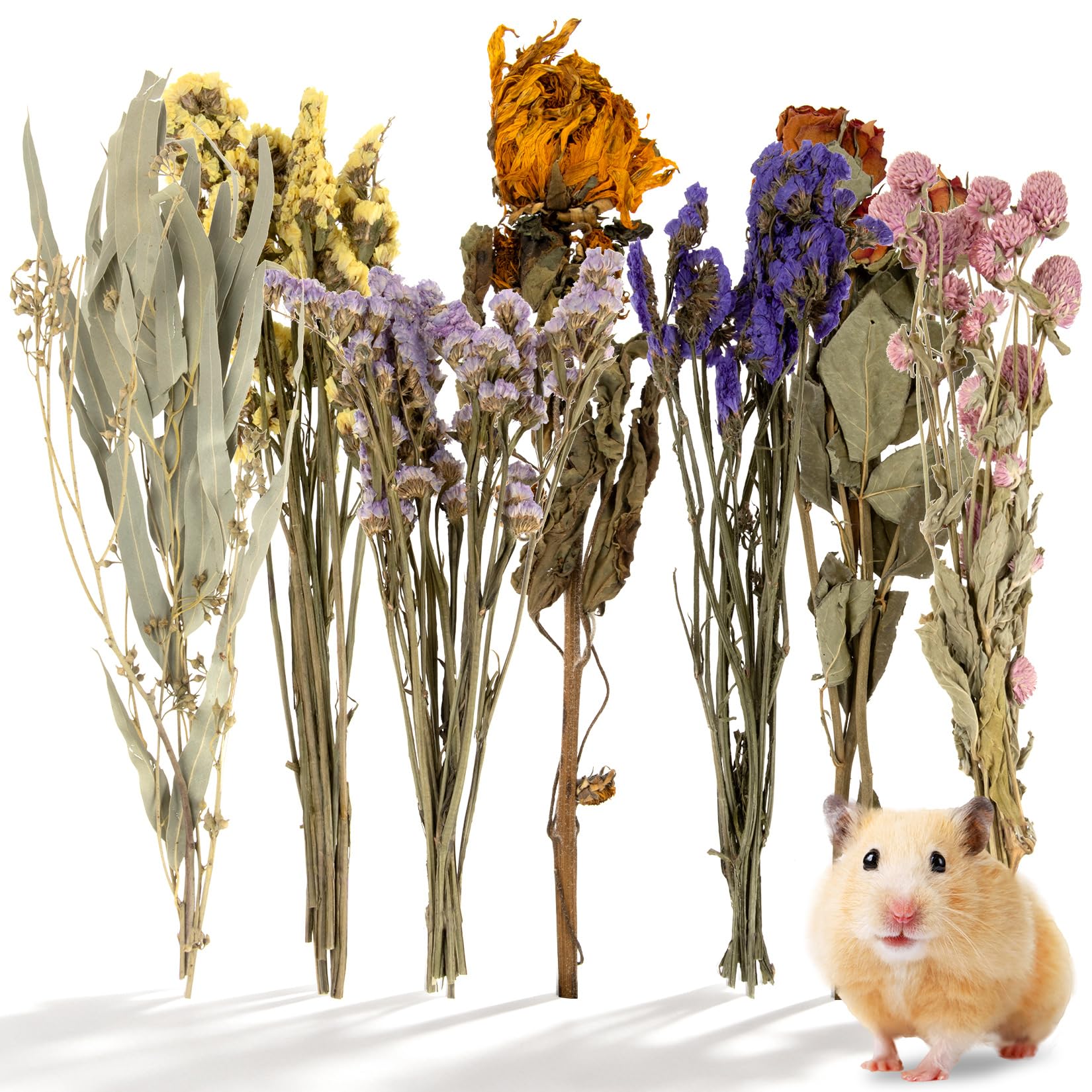 Sukh Hamster Bedding Sprays Habitat Decor - Natural Hamster Cage Accessories with Floral Forage, Layered Small Animal Habitat Decor for Hamster Enrichment, Syrian Hamster Hideout Cage Decor