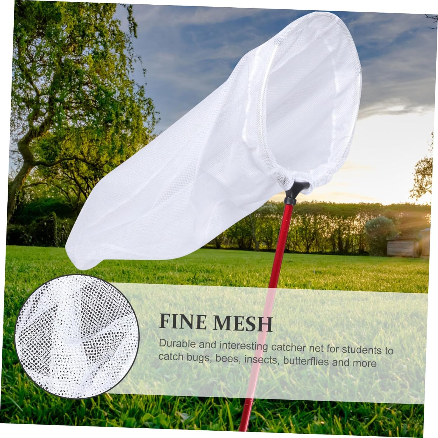 Toddmomy Telescopic Net Butterflies Catcher for Adults Mesh Net for Nature Exploration Fishing Activities Lightweight Design
