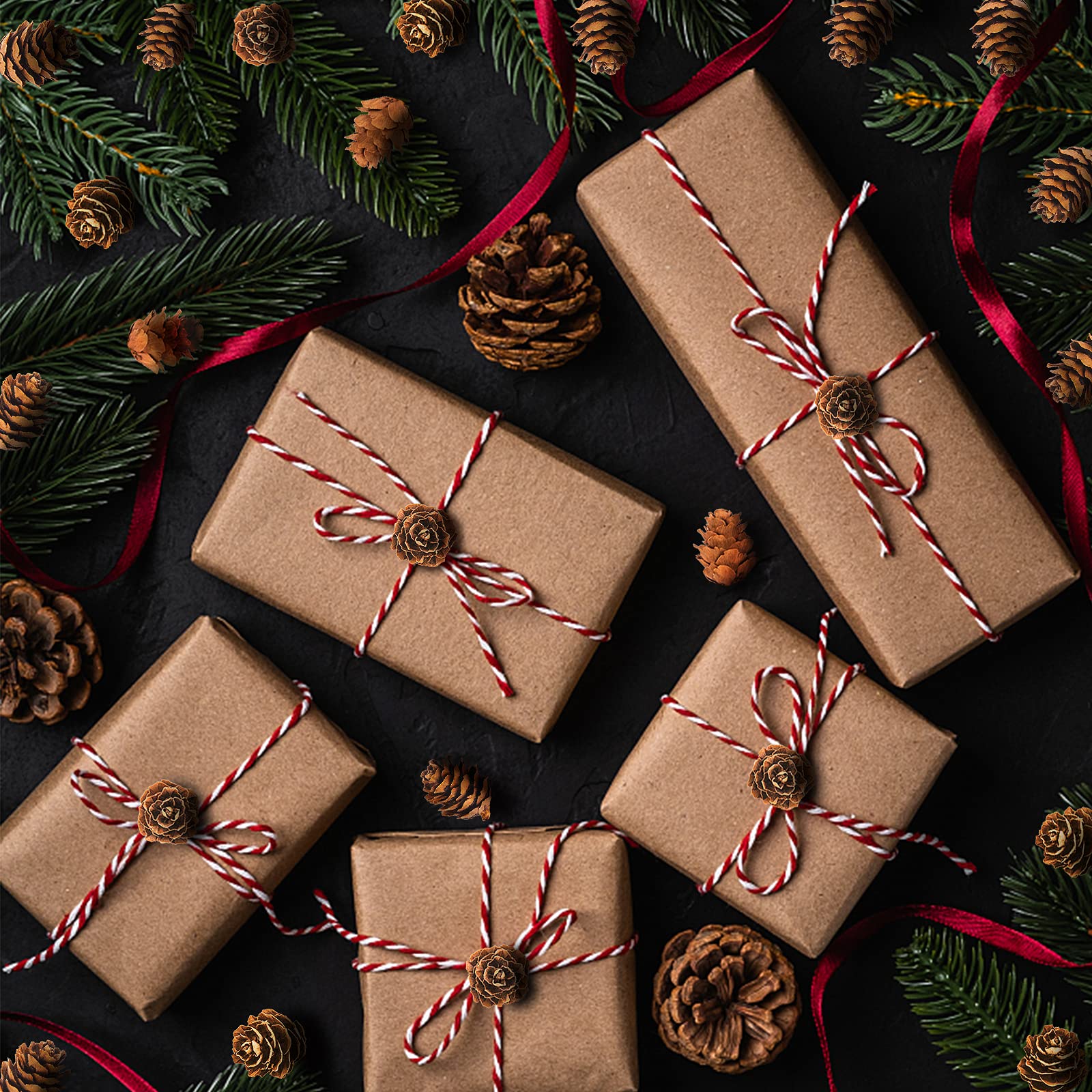 Deloky 1000 mini conos de pino natural de Navidad, adornos de piñas de Acción de Gracias para manualidades, decoración del hogar, Navidad y otoño, decoración de boda (1000 piezas)