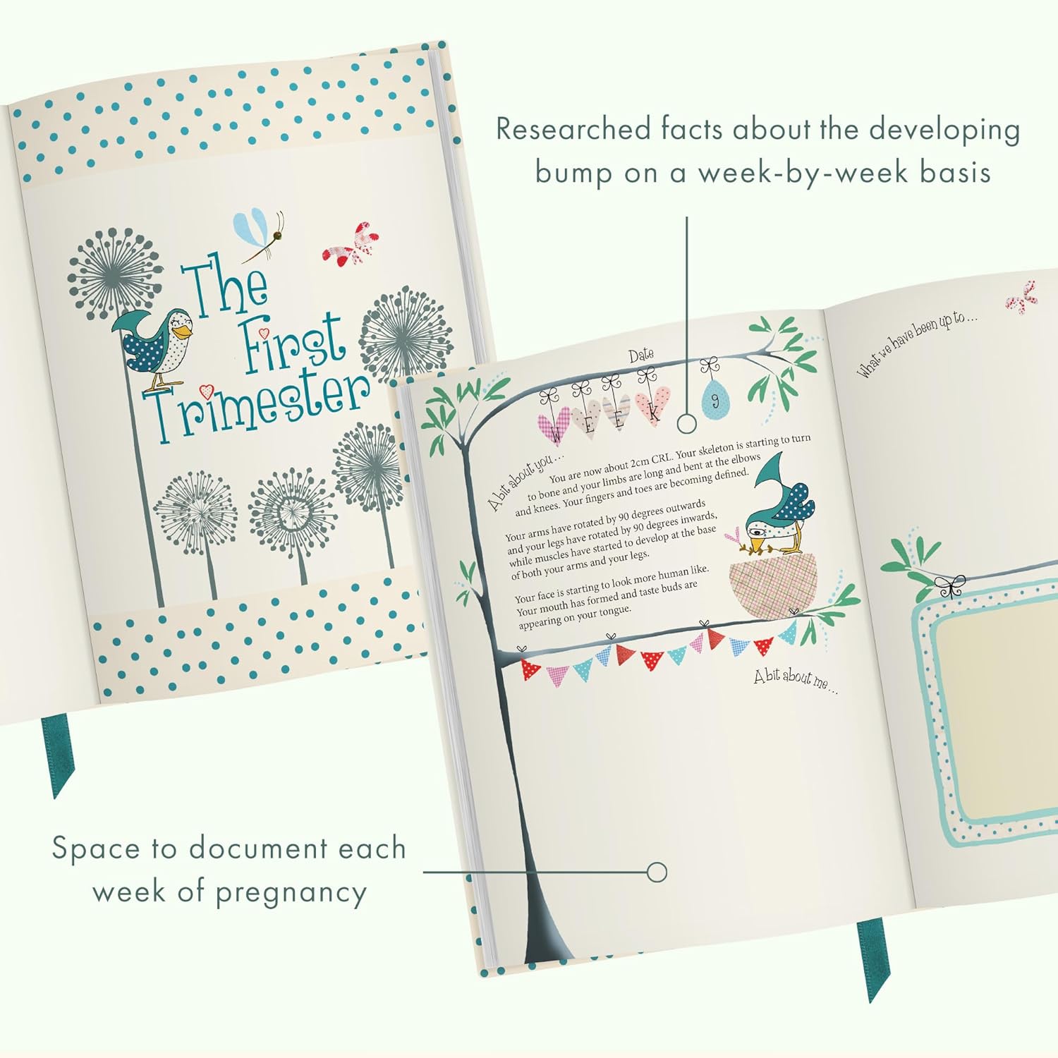 Bump To Birthday, a Pregnancy & First Year Journal: Full of week-by-week facts about the 'bump' with guided prompts to capture memories, feeling and events.