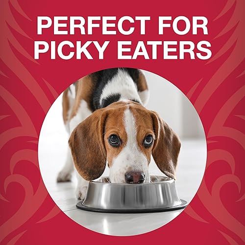 Miniatura 6 de KOHA Raw Life - Pollo crudo liofilizado para perros, comida alta en proteínas, cobertura y golosinas para comedores quisquillosos, bolsa de 14 onzas