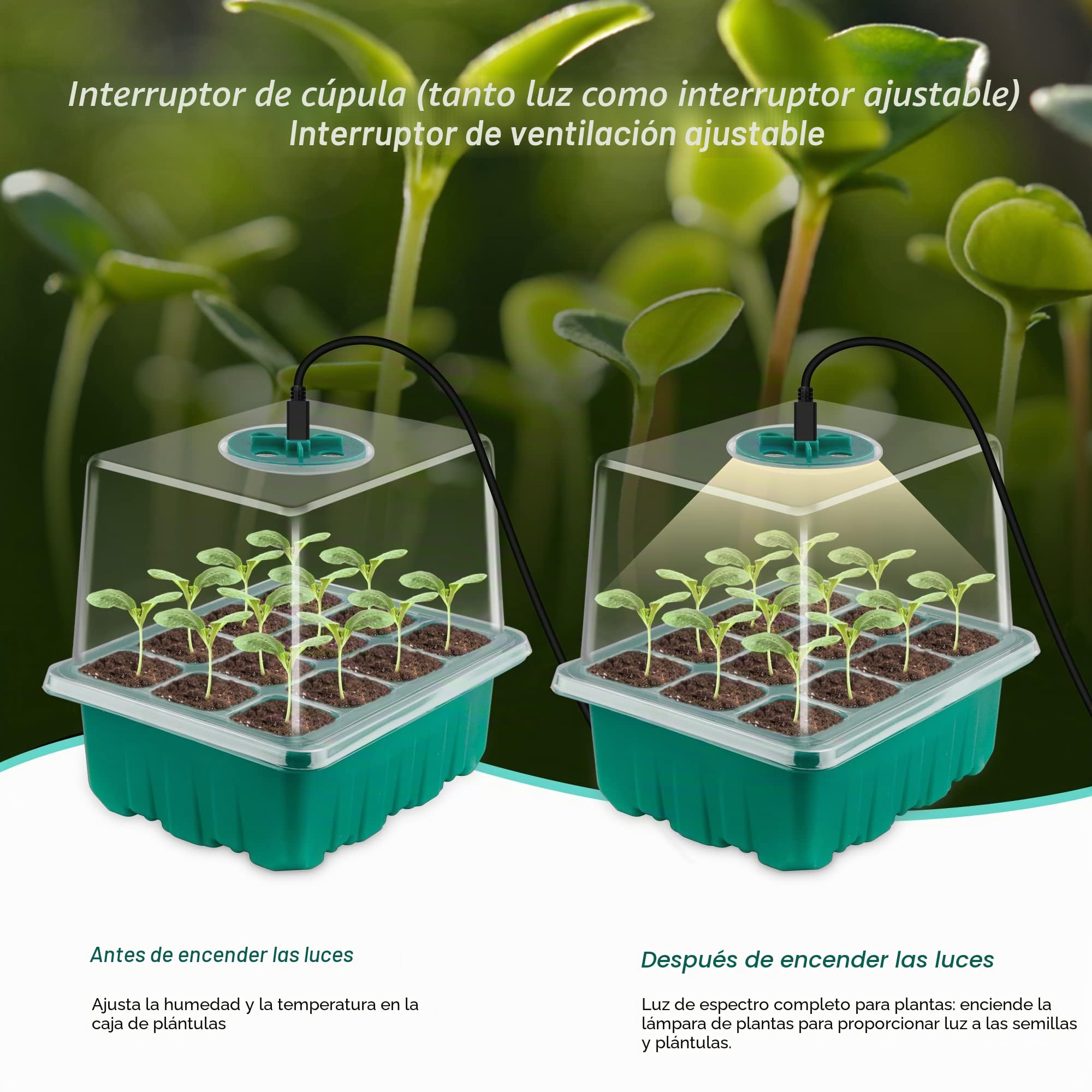 Nuevo Bandejas de Semillas, 5 Piezas, 10 Celdas Cultivo de Mini Invernadero, con Luz de Cultivo Solar de Espectro Completo, Caja de Cultivo De Invernadero Interior con Tapa y Ventilaciones