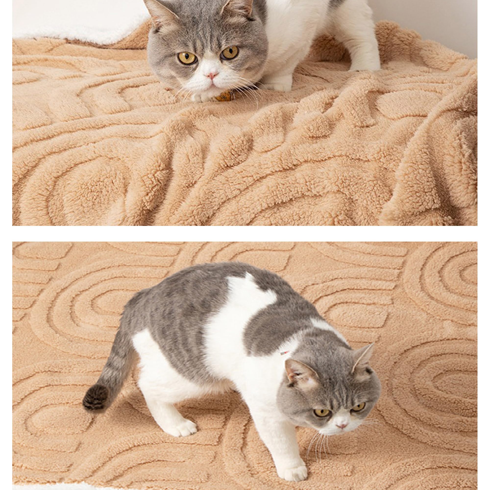 Coperta per animali domestici grande, versatile per cani, gatti e gatti, coperta calmante per letto, divano, lavabile in lavatrice, coperta per animali domestici (grigio chiaro, 180 x 160 cm)