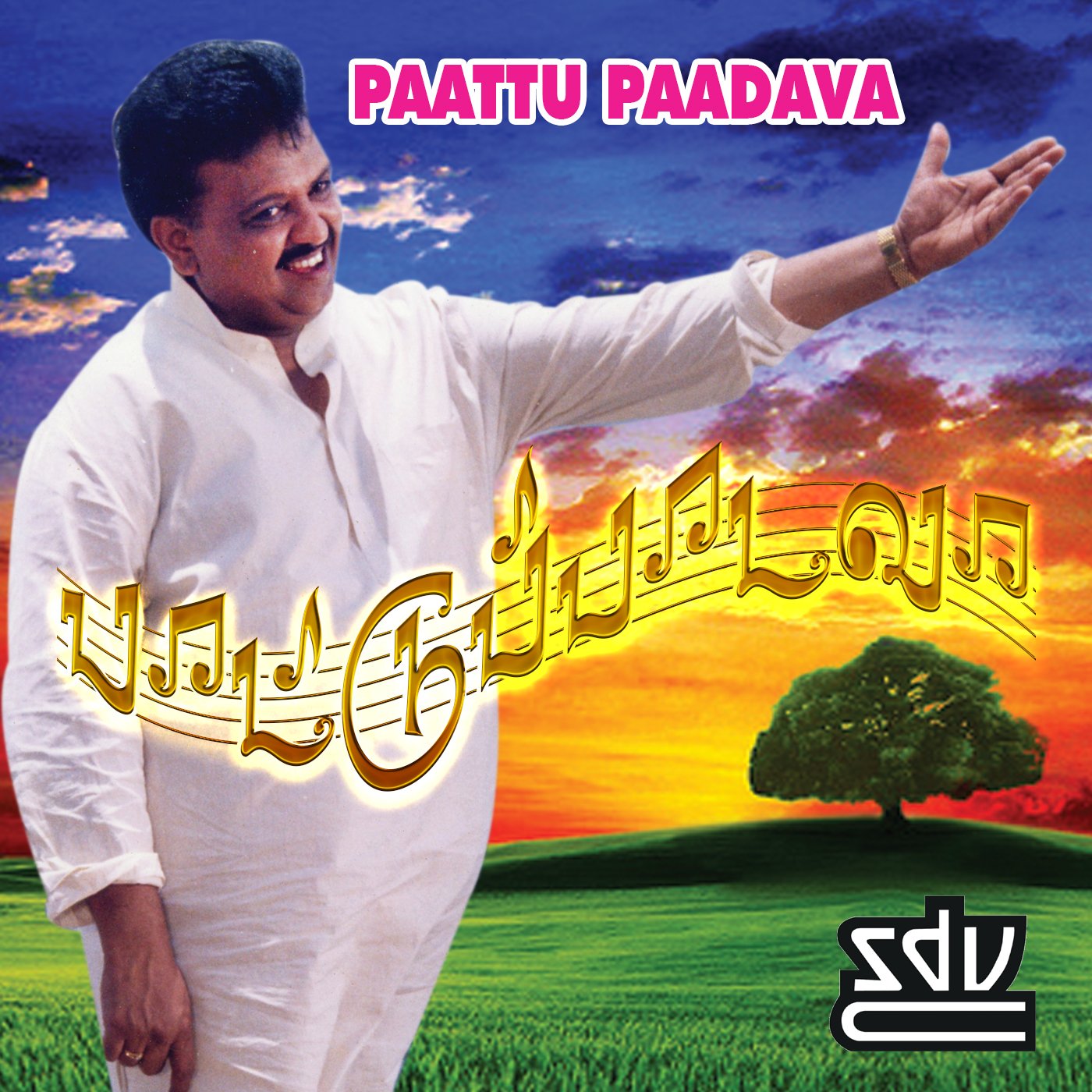 S. P. Balasubrahmanyam-Sunandha