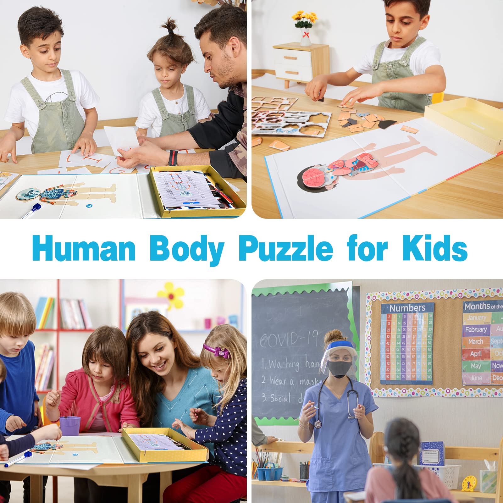 Buy Human Body Puzzle 42 Pieces Anatomy Puzzle for Kids