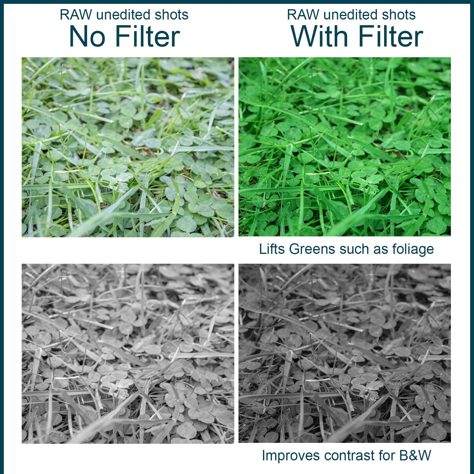 MaD Camera - 67mm Green Colour Correction Filter - Reduces Glare & Enhances Contrast - Premium Camera Lens Filter for DSLRs - Image 3