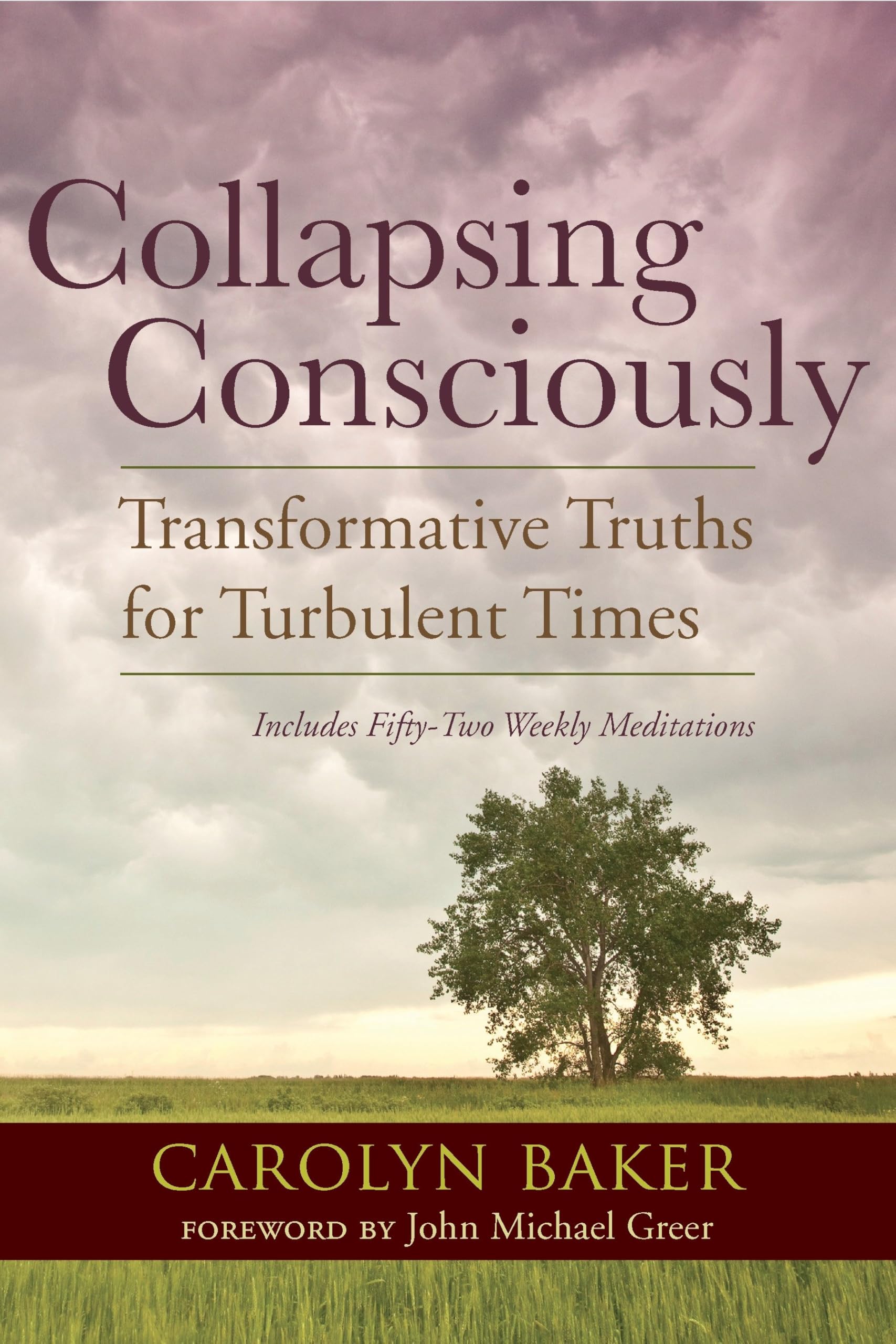 Collapsing Consciously: Transformative Truths for Turbulent Times (Sacred Activism): 3
