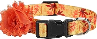 Fall Dog Collar with Detached Flower, Autumn Girl Dog Collar Charms