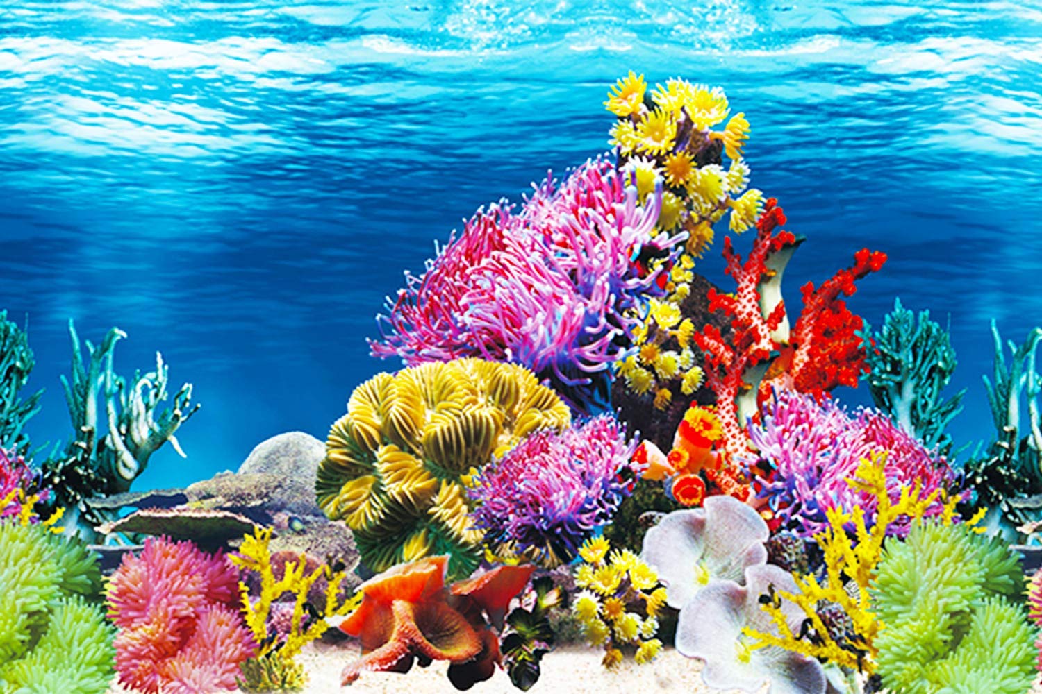 Semme Aquarium Aufkleber, Aquarium Hintergrund PVC Korallen Aquarium Hintergrund Unterwasserposter Aquarium Wand Dekorationen Aufkleber(61 X 30 Cm) 48772457