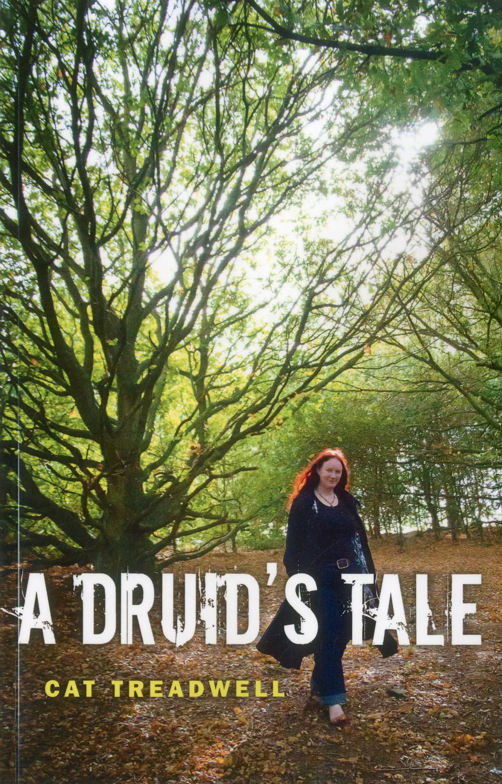 Druid's Tale: An Ancient Path in the Modern World