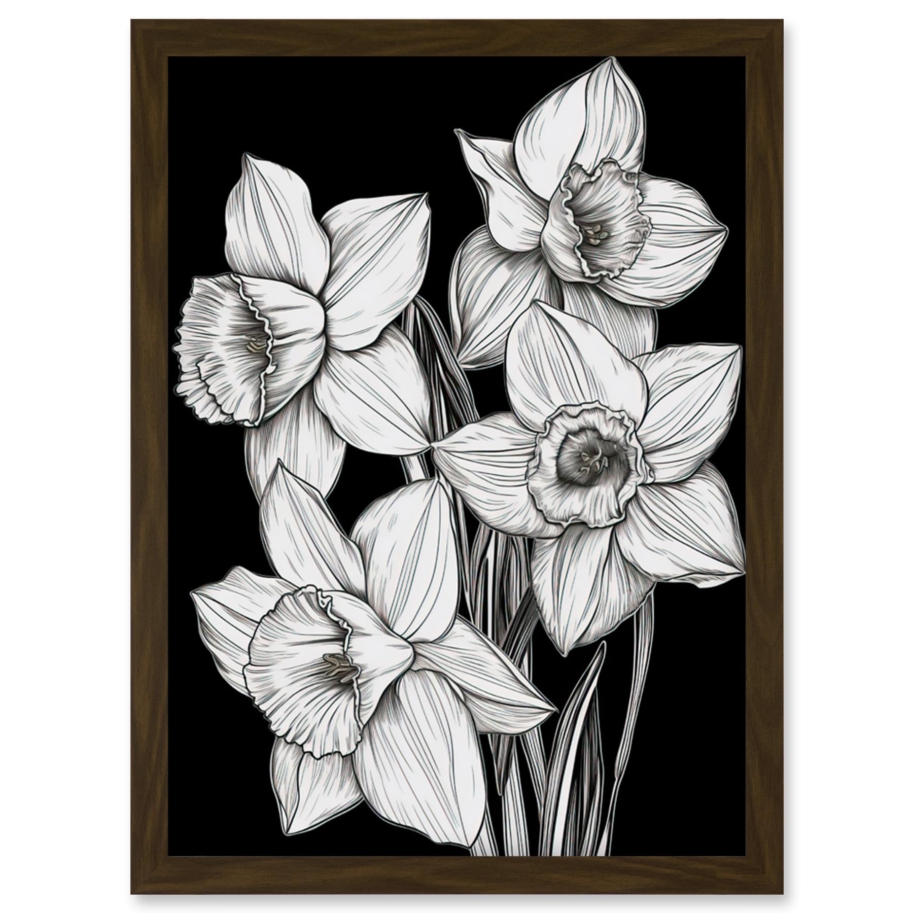 Artery8 Daffodil Wildflower Plant Blooms Black and White Artwork Framed Wall Art Print A4