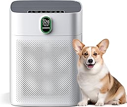 MORENTO Air Purifiers for Home Large Room up to 1076 Sq Ft with PM 2.5 Display Air Quality Sensor for Pet Hair, Double-Sided Air Inlet, 24db, White, 1 Pack + 2 Pack Filters