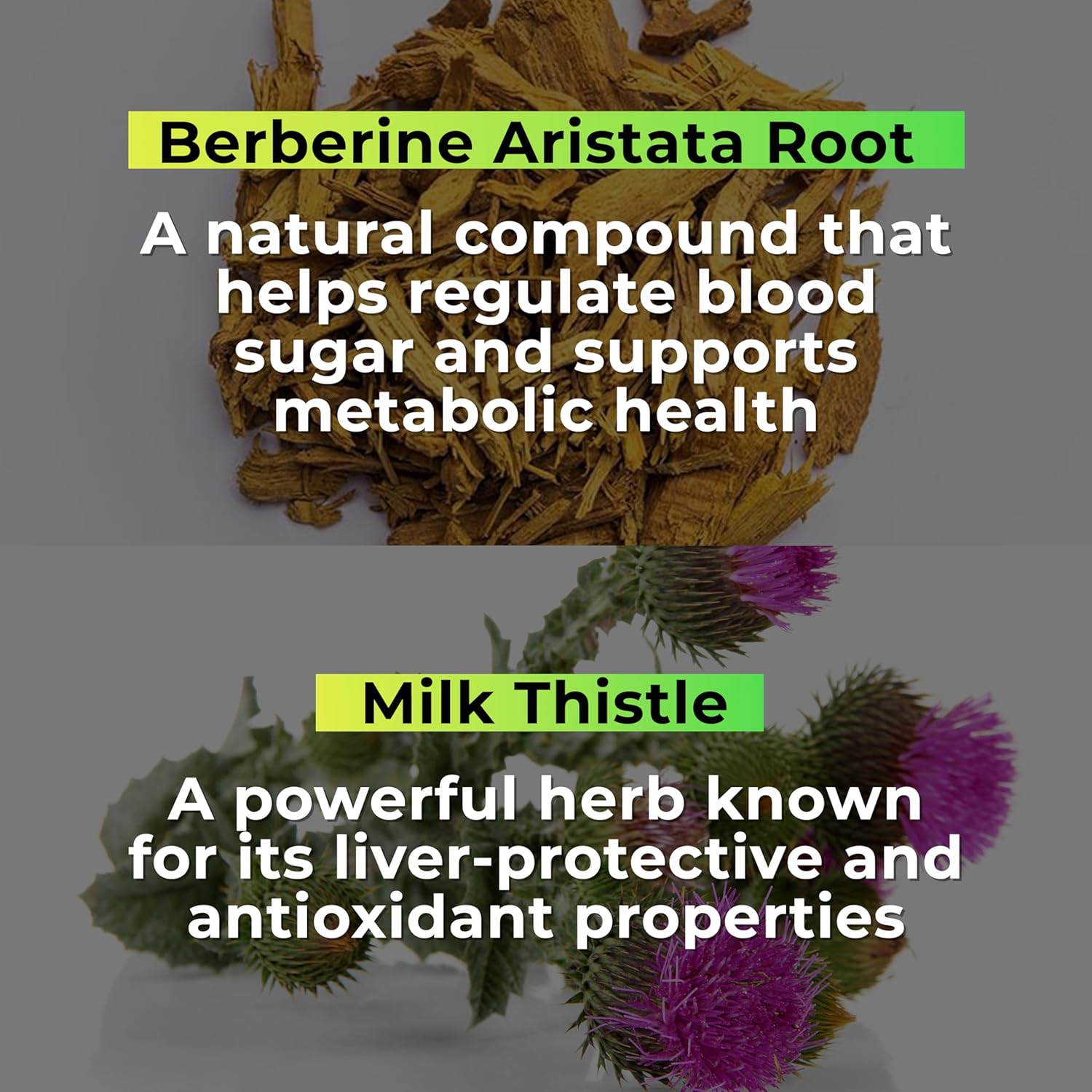 Buy Now Health Veda Organics Berberis Aristata (Berberine 98%) | 60 ... 4 Buy Now Health Veda Organics Berberis Aristata (Berberine 98%) | 60 ...