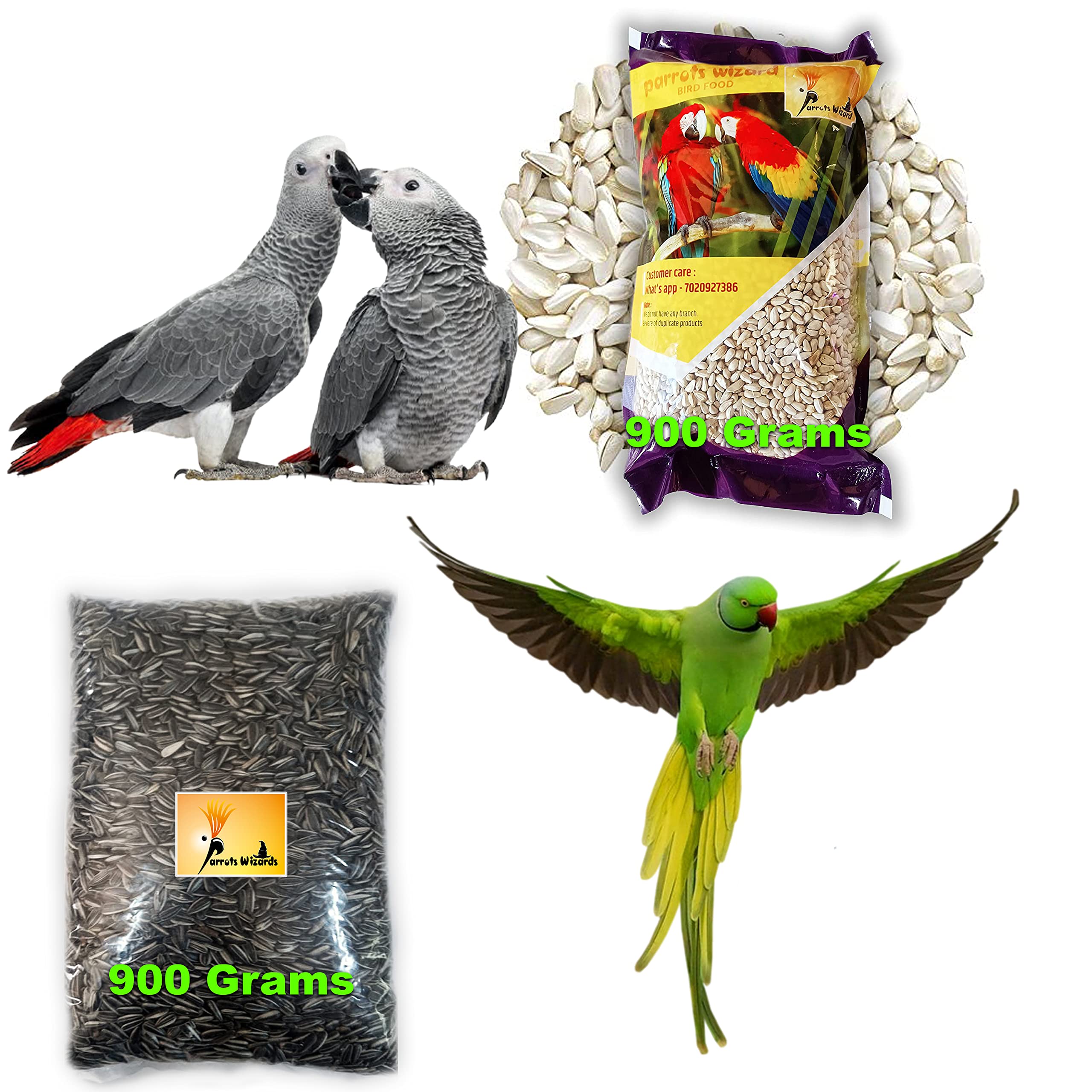 Parrots Wizard Dry Bird Food Sunflower and Safflower Seed Combo Pack Each (900 gm) (B09XXLBCPH) Amazon Price History, Amazon Price Tracker