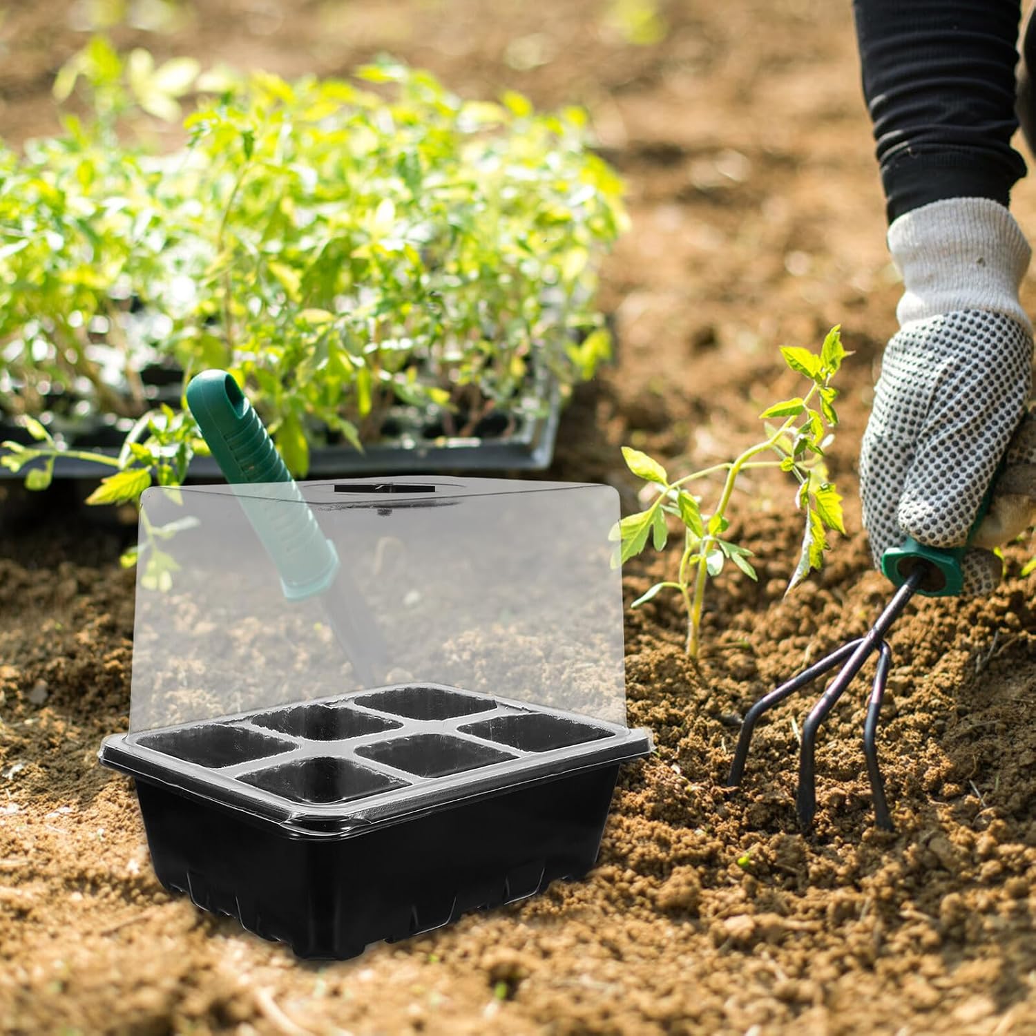 NUOBESTY Breathable Seed Starting Tray Set with 6-Cell Black Propagator, 10pcs Germination Boxes with Labels and Tools for Indoor Gardening and Vegetable Seedlings