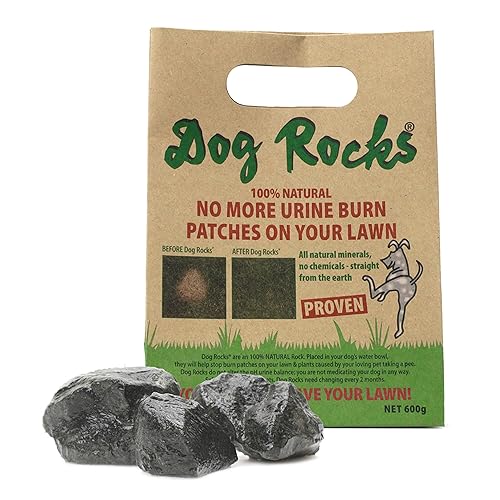 Dog Rocks for Urine Burning Grass - 600g - Natural Pet Rock to Help Maintain Green Lawn - Grass Savers for Dog Urine - 6 Month Supply for Use in Water Bowls or Yard