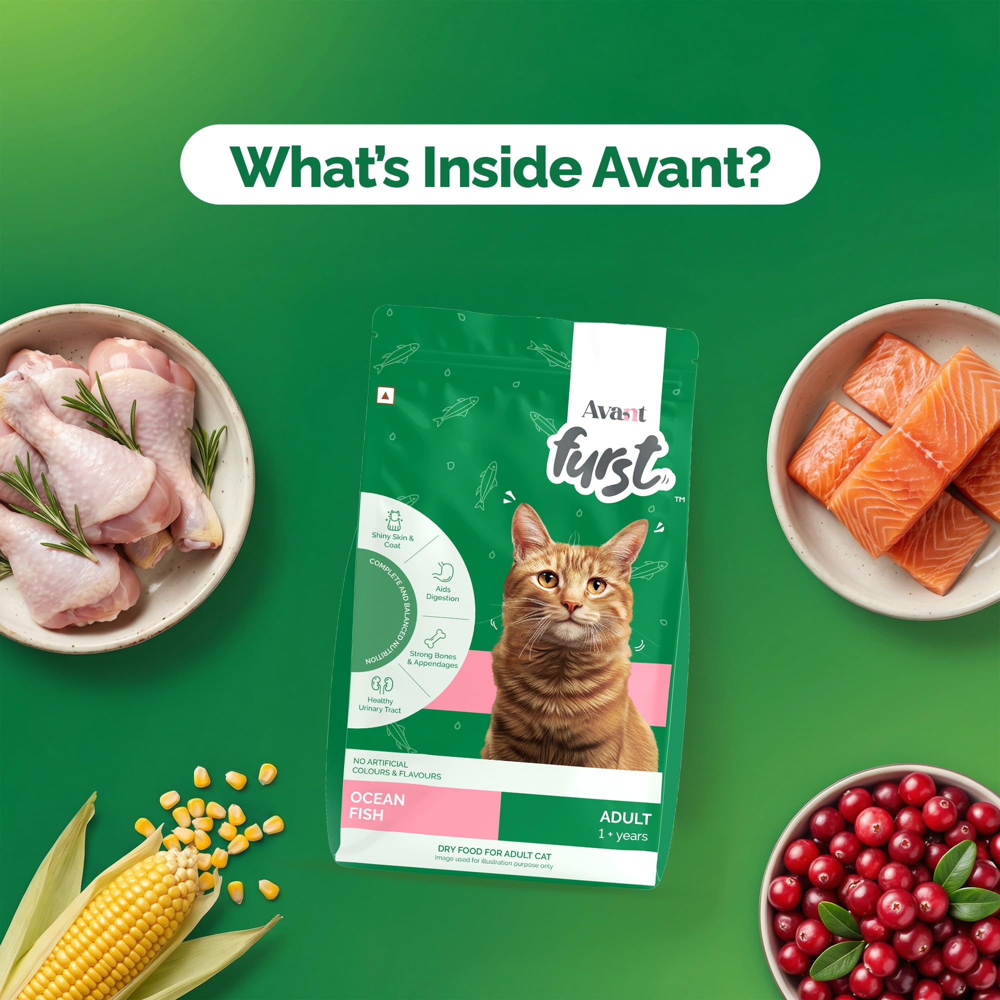 Avant Furst Adult Dry Cat Food Ocean Fish Flavor, Cat Food Dry with Real Ocean Fish, Taurine, Omega 3 & 6, No Artificial Additives, Daily Nutrition for Adult Cats, 2.8kg 3