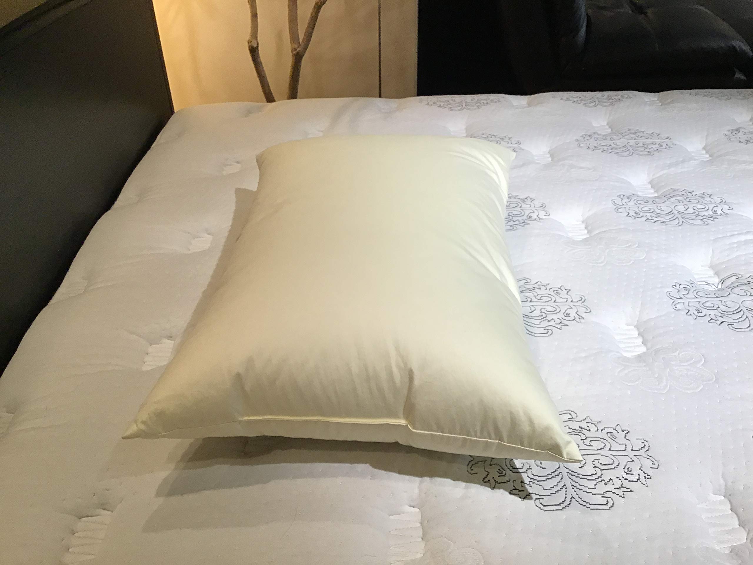 Sealy バンブー枕 2個セット ピロー（枕） – シーリー公式 SLEEP SELECT ONLINE SHOP
