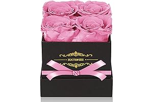 NATROSES Pink Preserved Roses In A Box That Last Up To 3 Years And Beyond