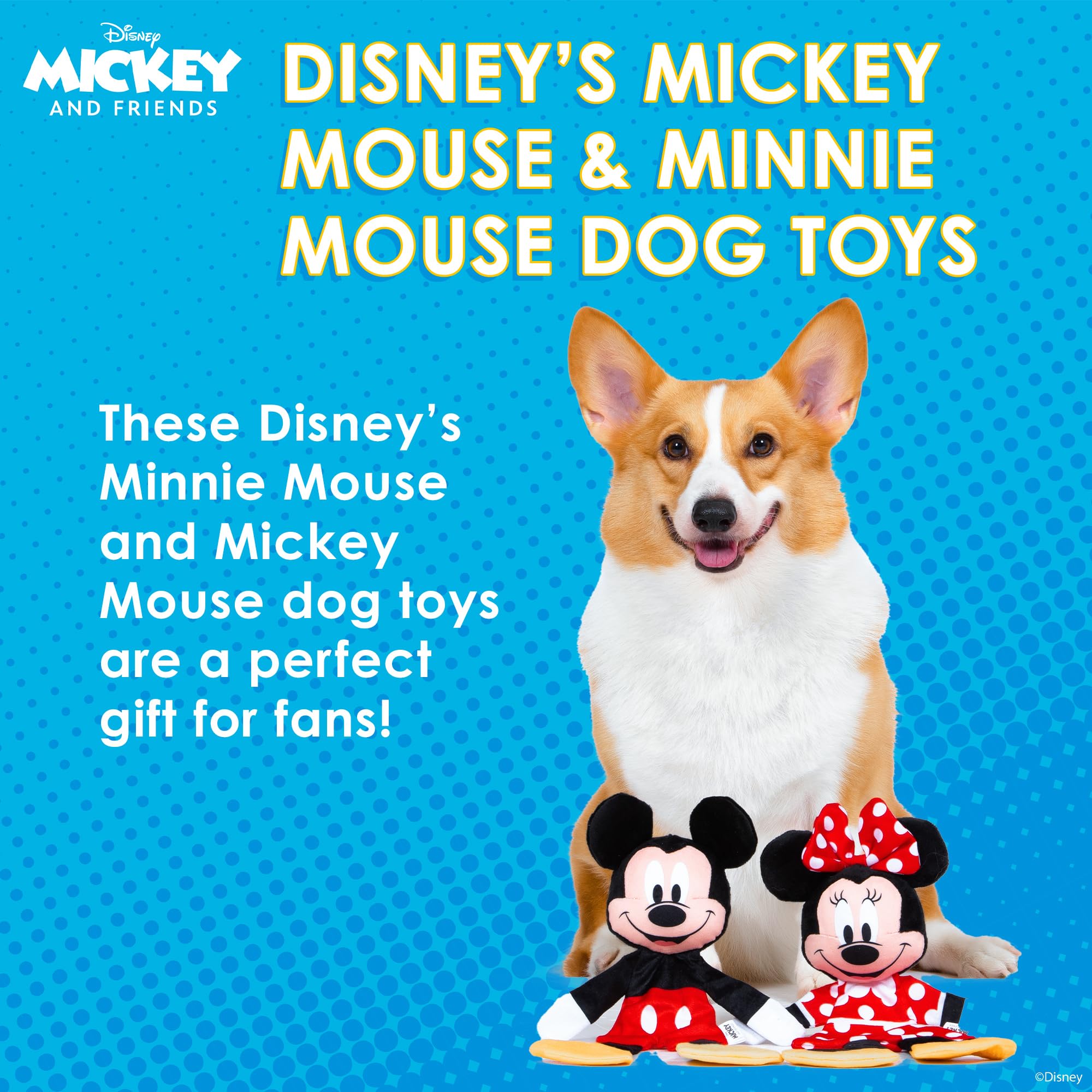 Amazon.com: Disney for Pets Mickey Mouse & Minnie Mouse