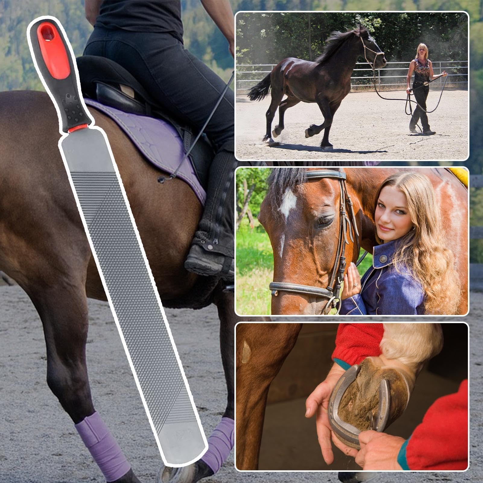 Genérico Horse Hoof Rasp - Premium Carbon Steel Hoof Rasp | Hoof File Carbon Steel Farrier Tools | Double Sided Hoof Rasp For Horses | Minii Hoof Rasp Hoof Rasp For Goat Horse Hoof Care