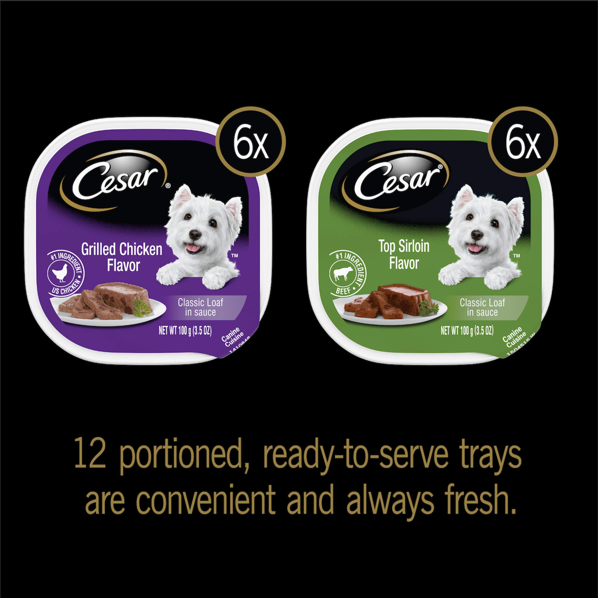Cesar Gourmet Wet Dog Food Variety Packs 24 Trays Buy Online in