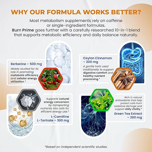 Miniatura 5 de Ultra Burn Prime 1730 mg - 10 en 1 con berberina, canela de Ceilán, L-carnitina, ALA, té verde y gimnasia, apoya el metabolismo, la energía y el