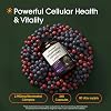 Complejo de Resveratrol NatureBell - 240 cápsulas vegetarianas - Elaborado con Resveratrol, NAD, Glutatión y más - Apoyo al envejecimiento saludable y antioxidante - Bienestar del corazón, cerebro e inmunidad* Cápsula 1 unidad (Paquete de 1) 5