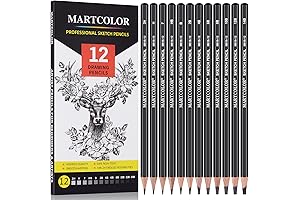 12 Pack Drawing Sketching Pencils Set