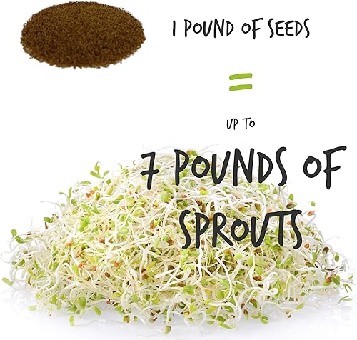 Miniatura 4 de Semilla de brote de alfalfa orgánico certificado marca Handy Pantrysemillas de alta germinación comestibles - jardinería cultivos hidropónicos