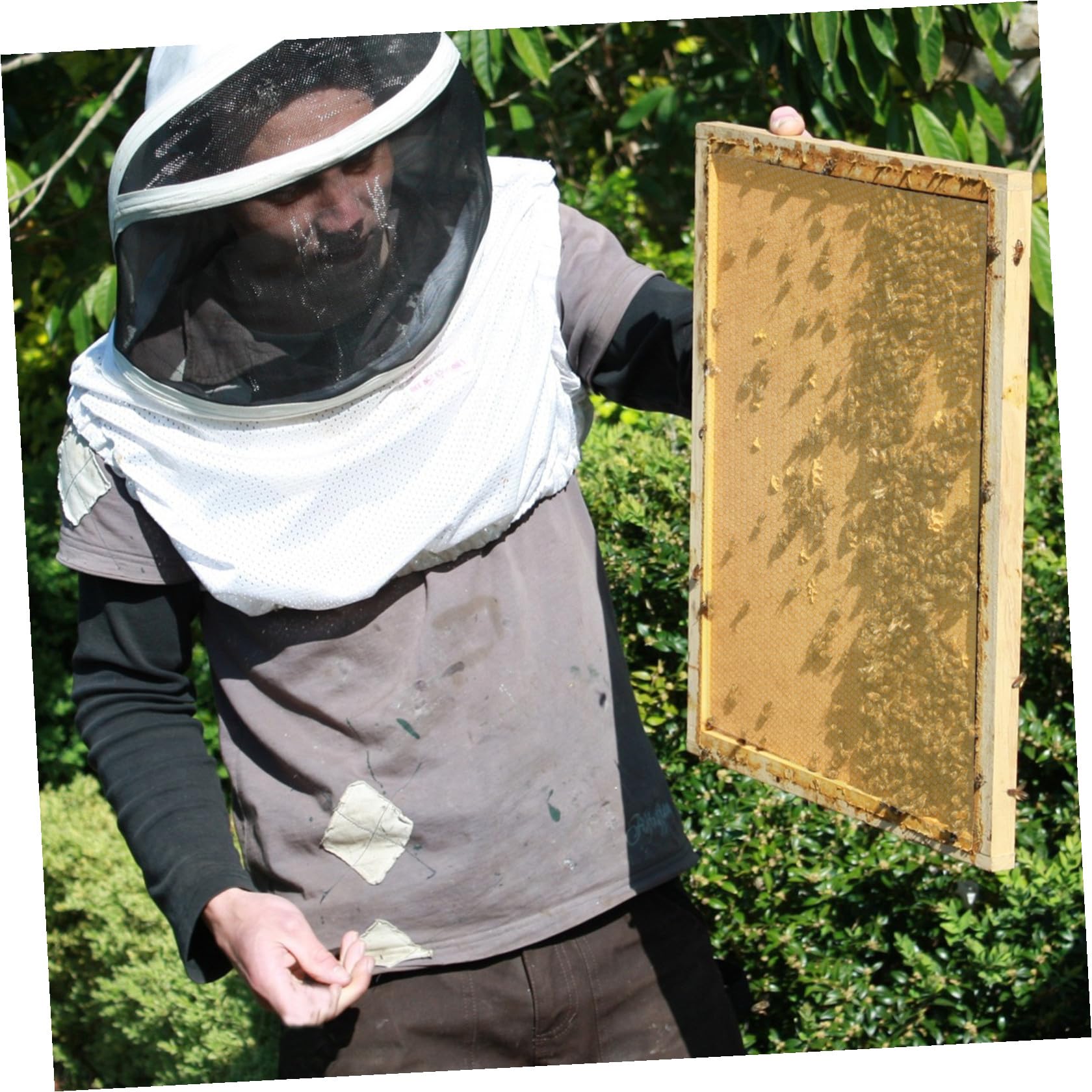 30 Pezzi Fogli Cerei per Alveari, Honeycomb Sheet, Cera D'api Gialla, , per Costruzione del Favo, Apicoltori