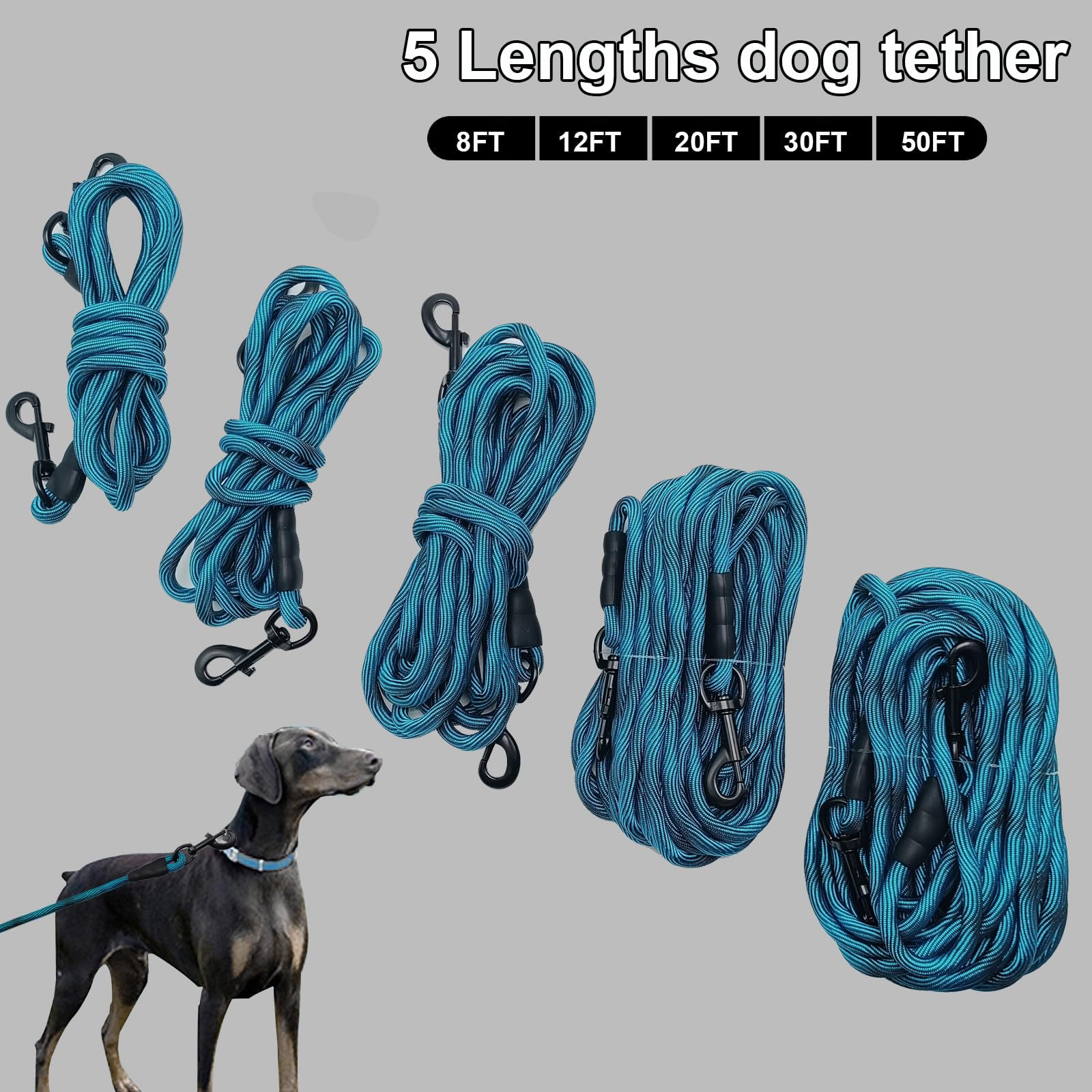 BTINESFUL Correa de cuerda larga para perro de 3,7 m de 6,1 m de 9,1 m y 15,2 m, ideal para perros grandes, medianos y pequeños, entrenamientos, jugando, camping, o patio trasero (3,7 m, azul negro)
