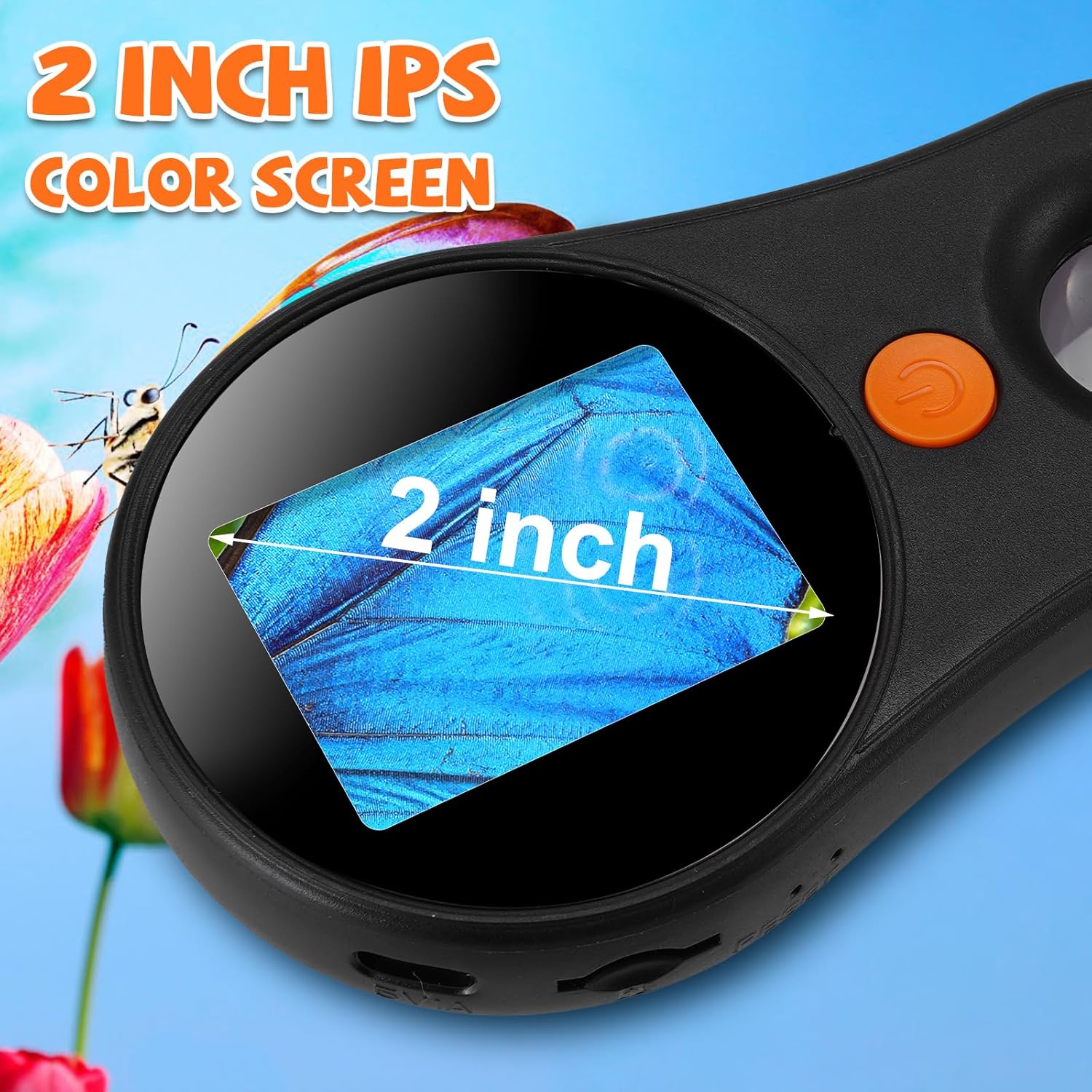 Close-up of the digital microscope's 2-inch IPS color screen displaying a magnified image of a butterfly wing.