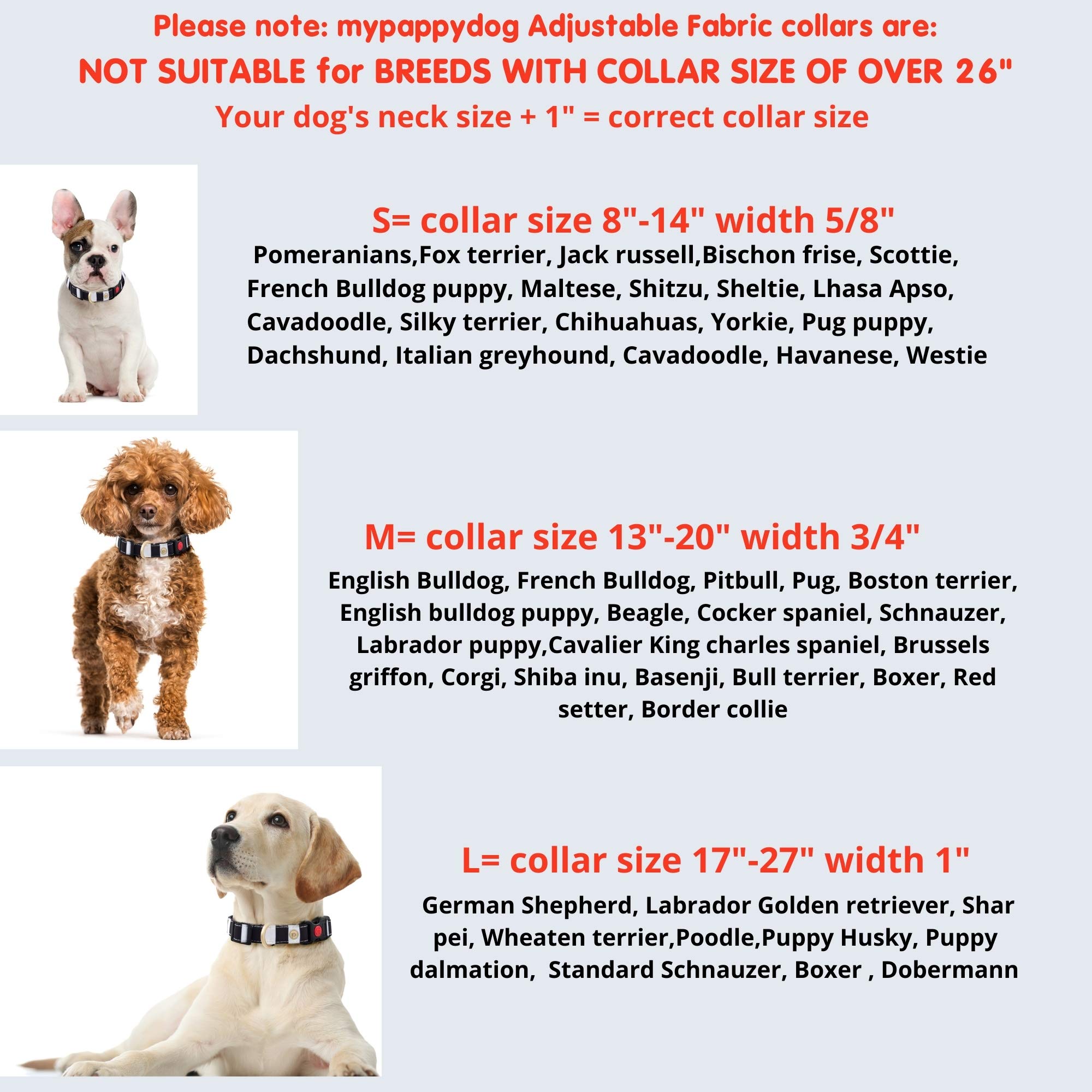 Pug Puppy Neck Size atelieryuwa.ciao.jp